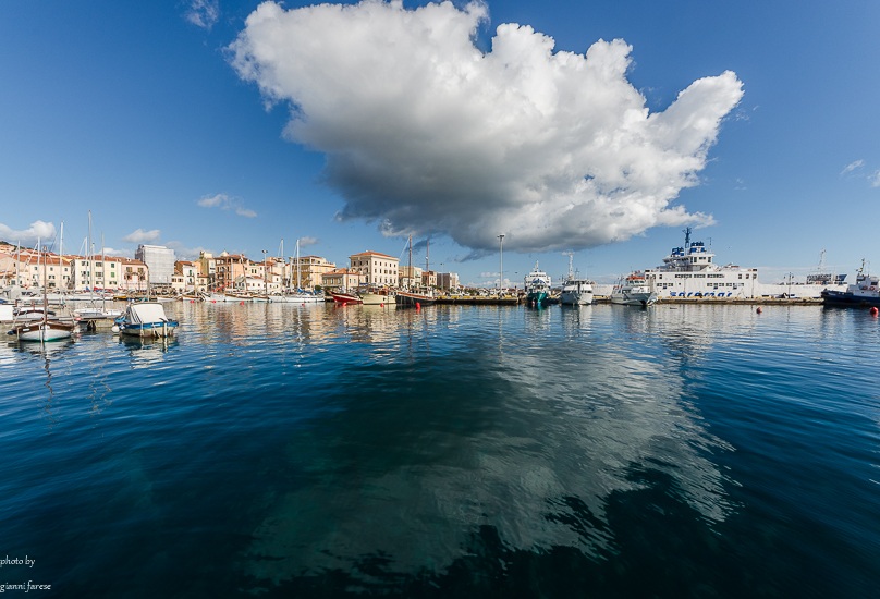 falls in the ranks maddalena