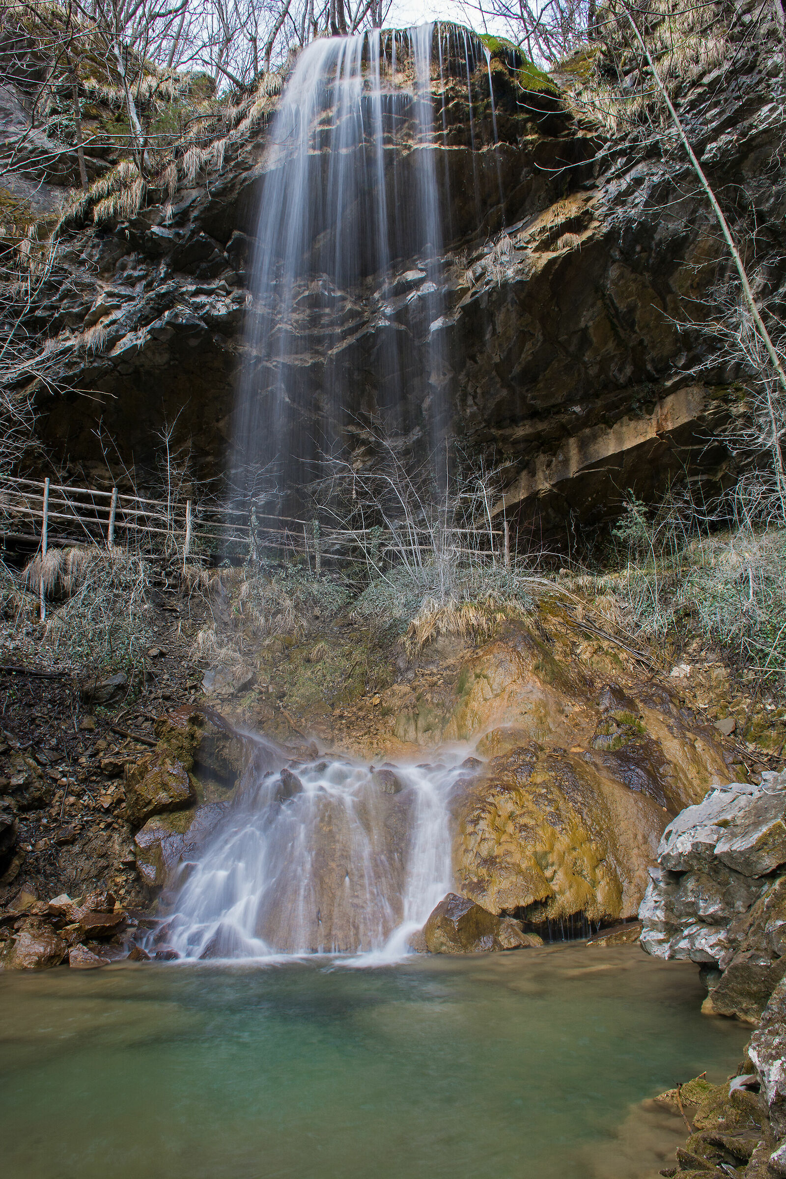 Cuckoo Falls