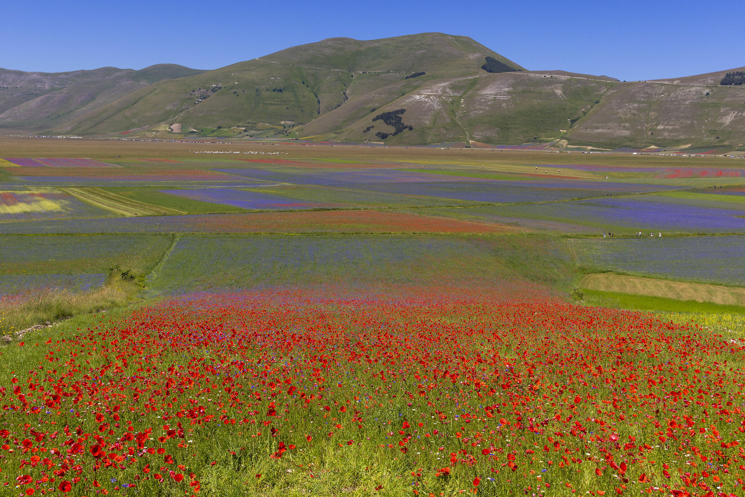 Castelluccio di Norcia