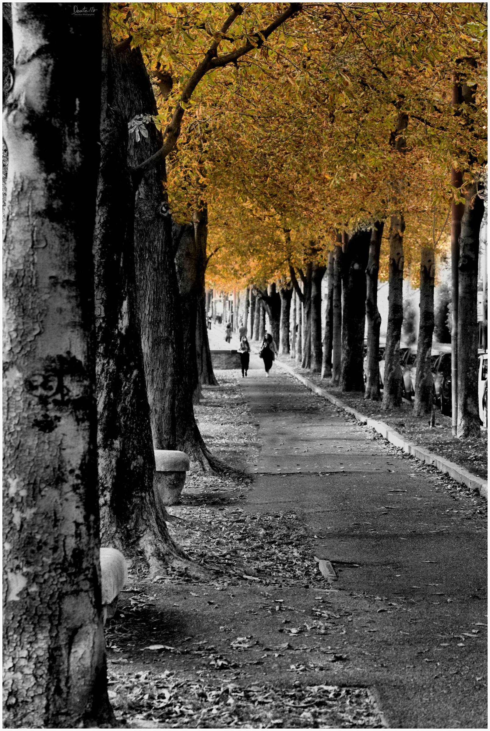 Autumn has arrived in Bergamo.