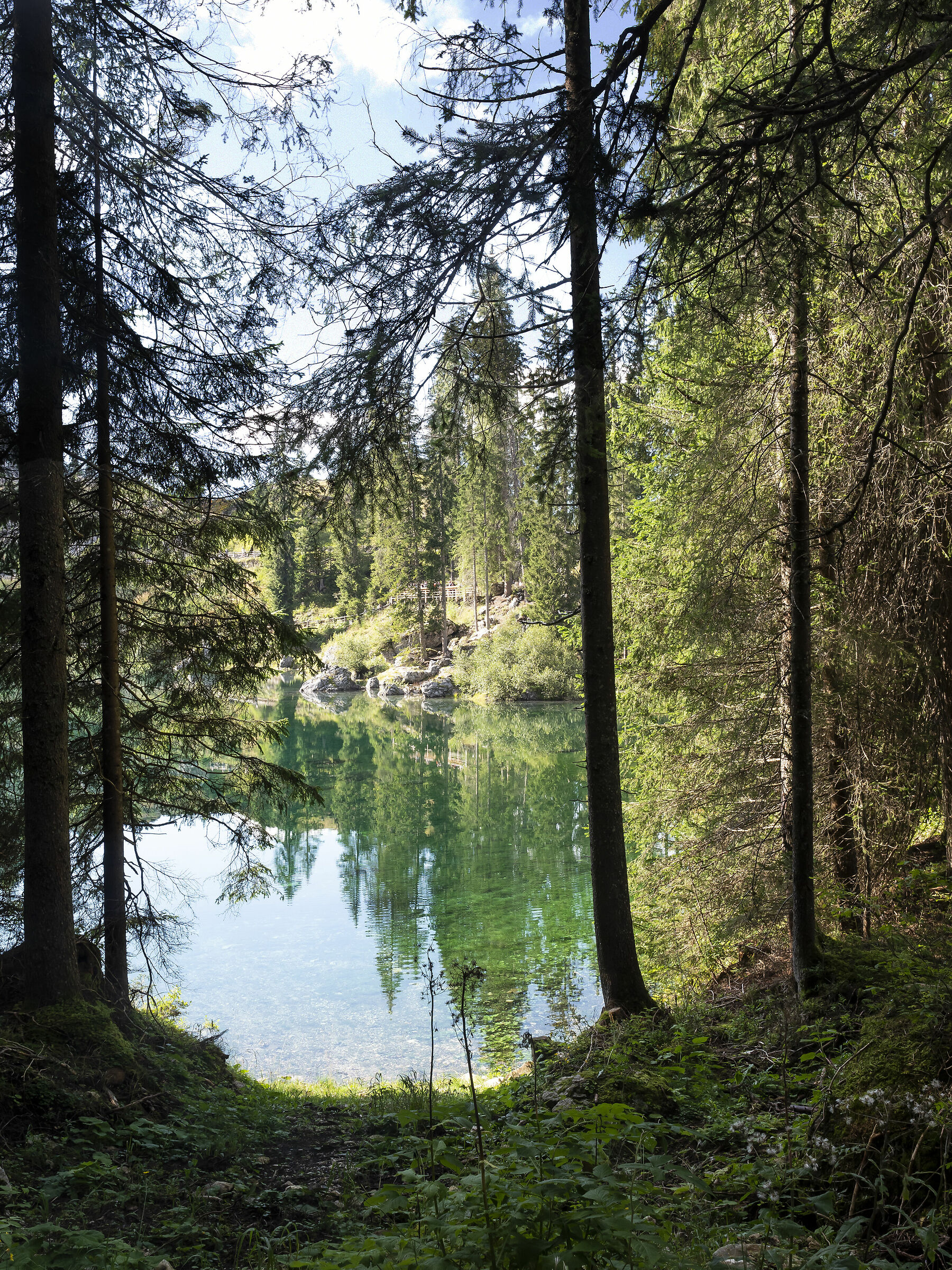 Lago di Carezza - Scorcio e riflessi.