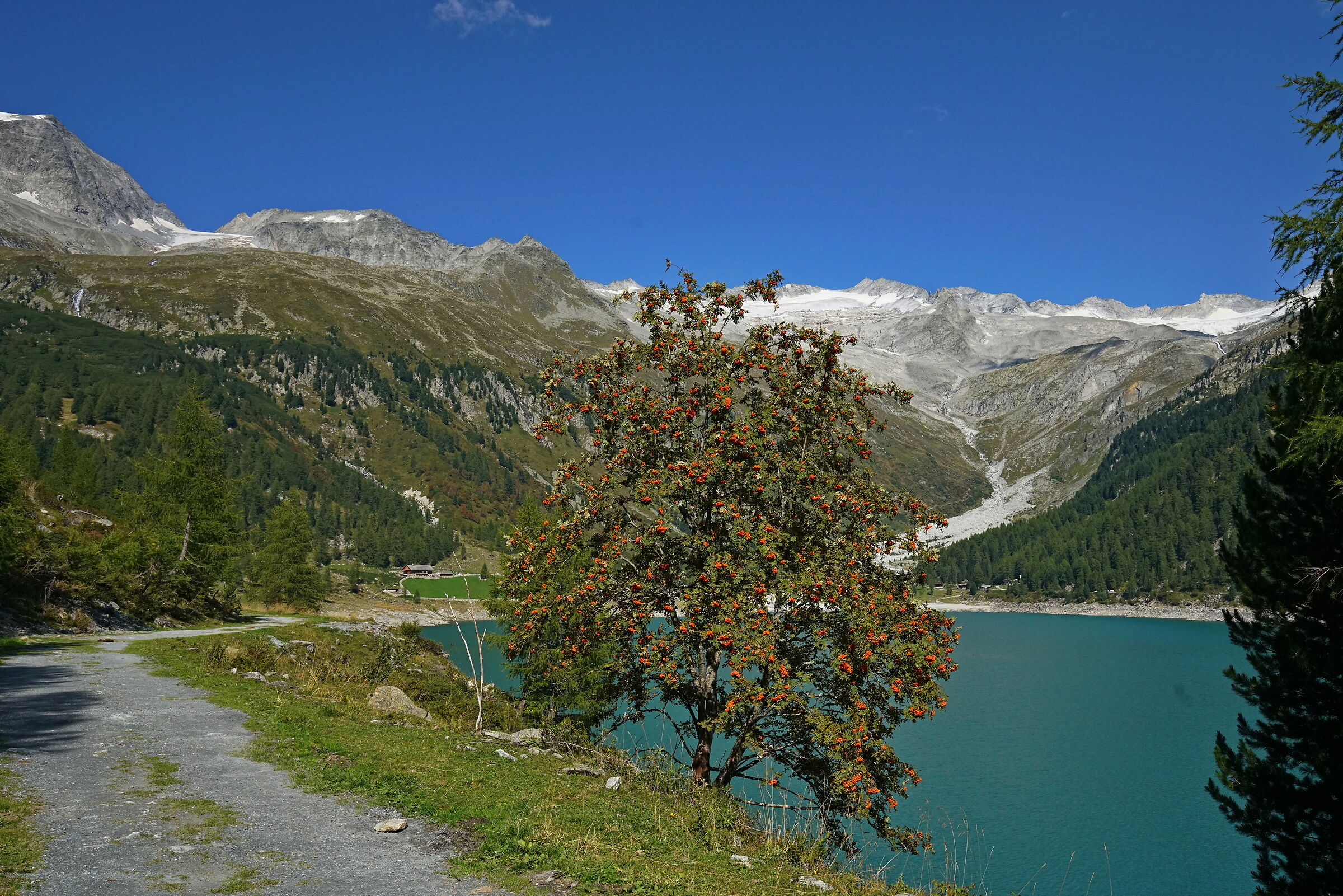 uattro steps to Lake Neves