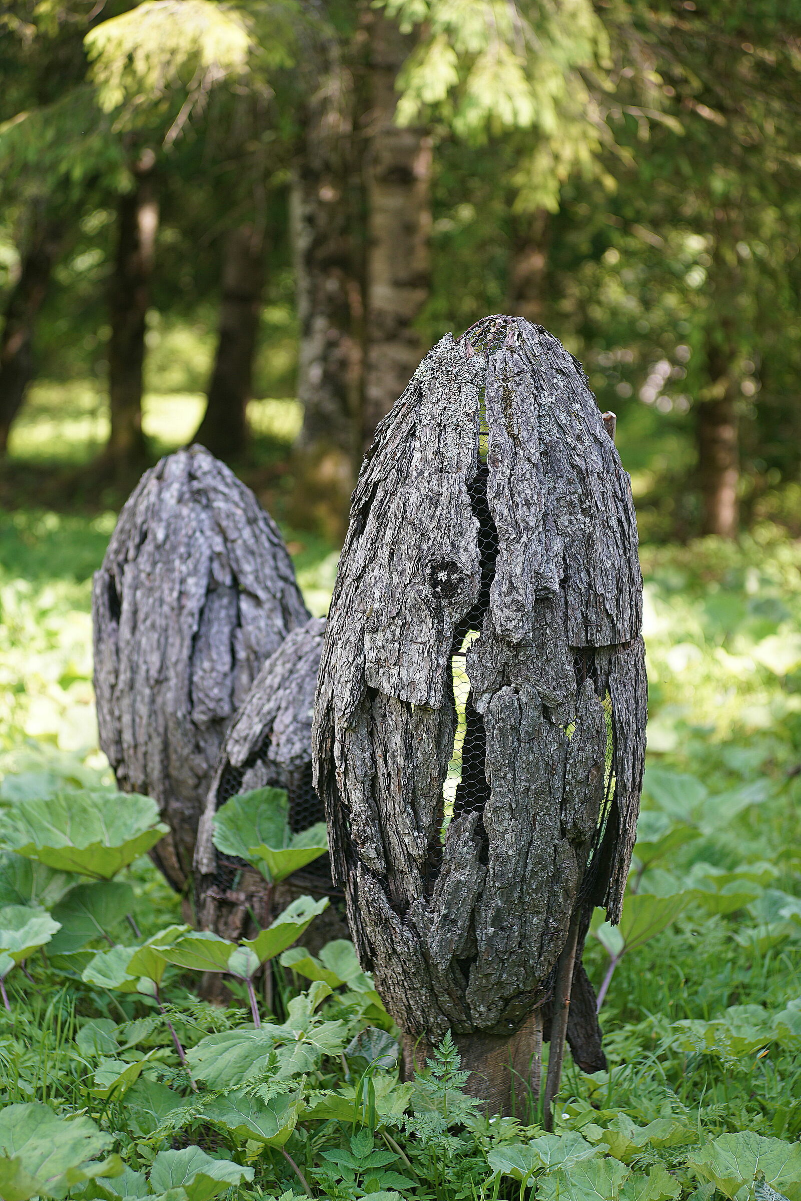Questi funghi......un pò pesanti.