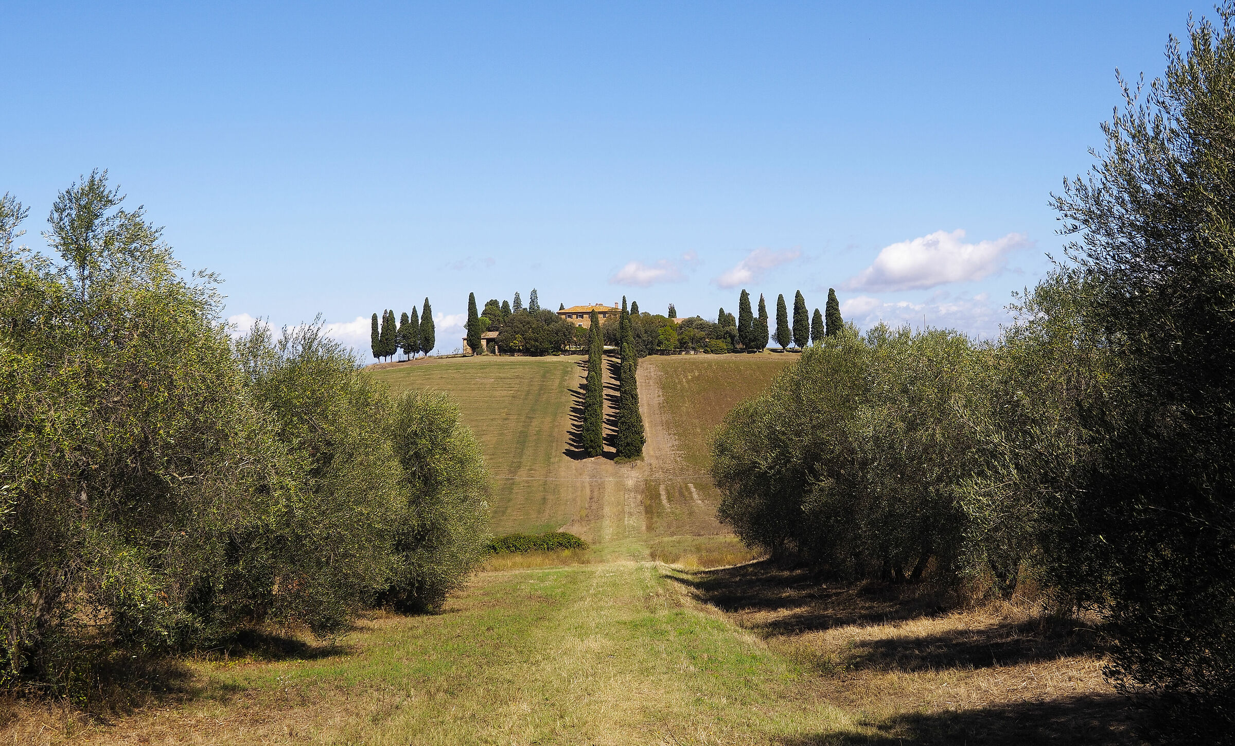 S.Quirico - Podere di Poggio Manzuoli