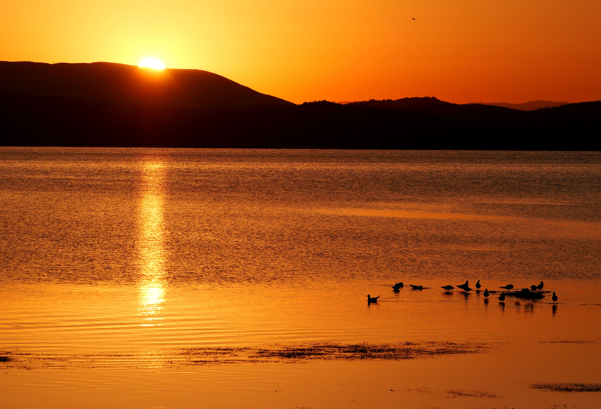 Sunrise on Trasimeno