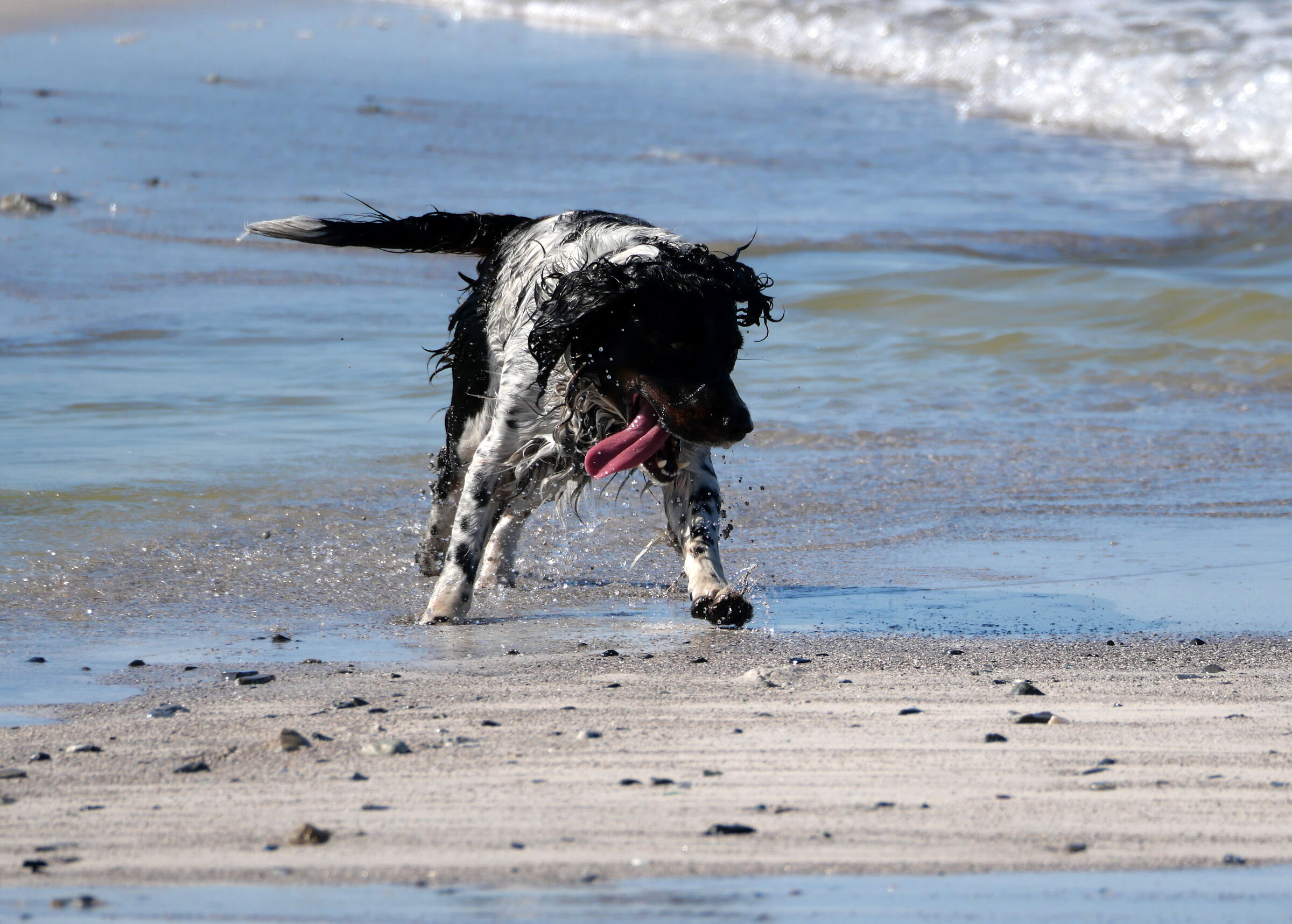 I'm tired, but I'm going to dive back!!!