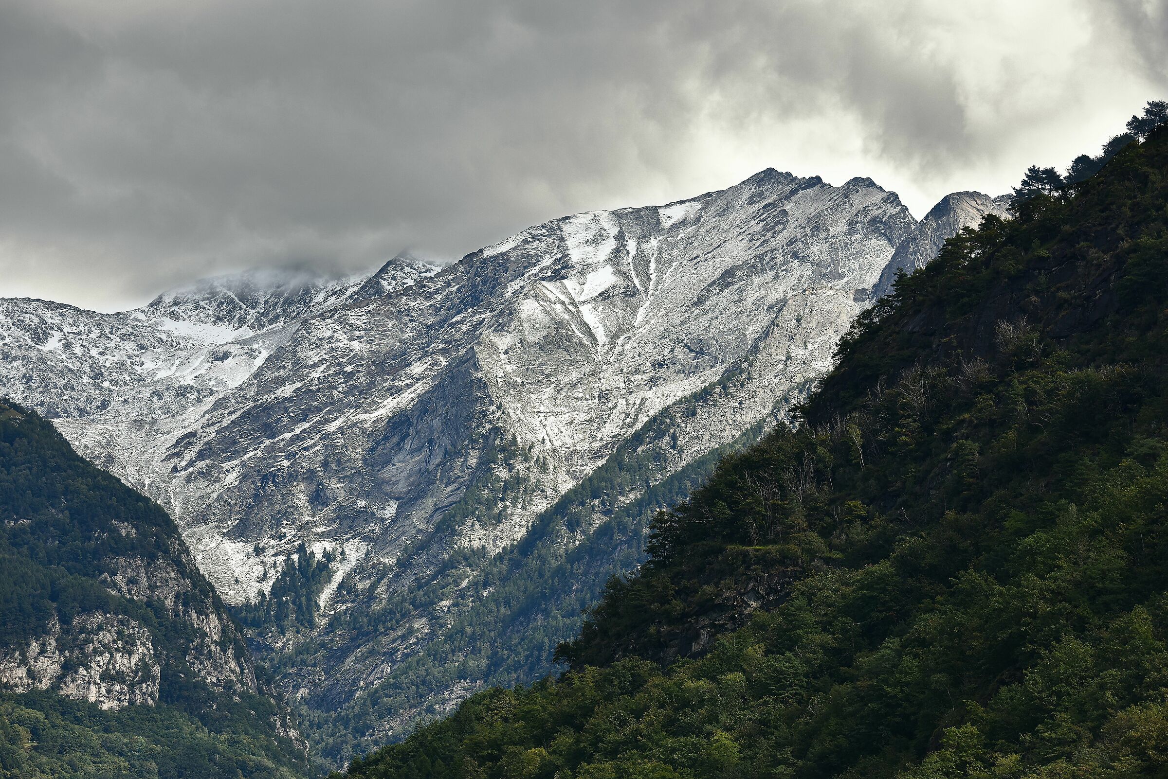 Prealpi