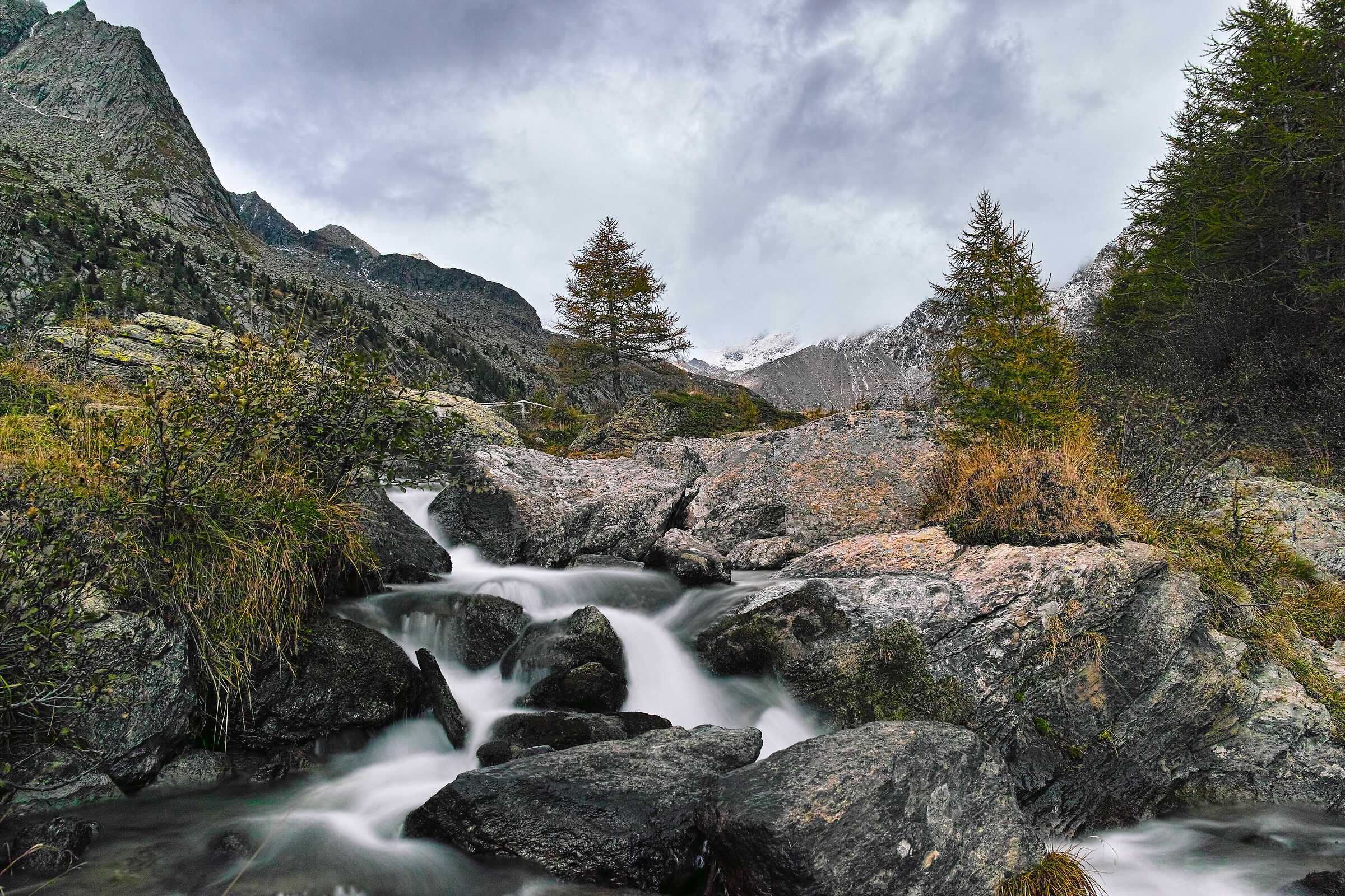 Preyrossa: waiting for Autumn!