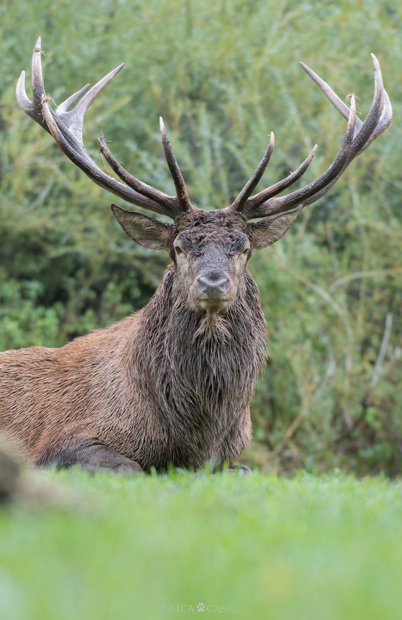 "The warrior's rest"