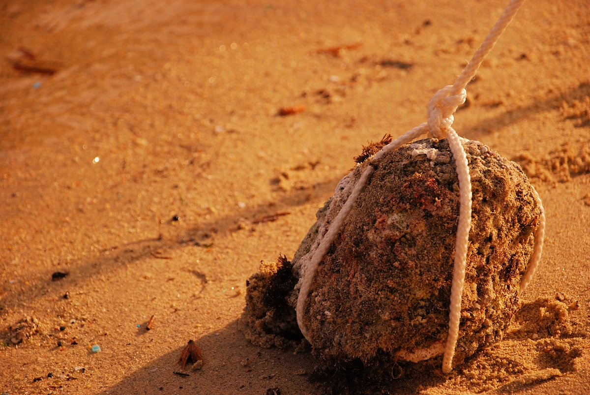 Suicide ... at sunset