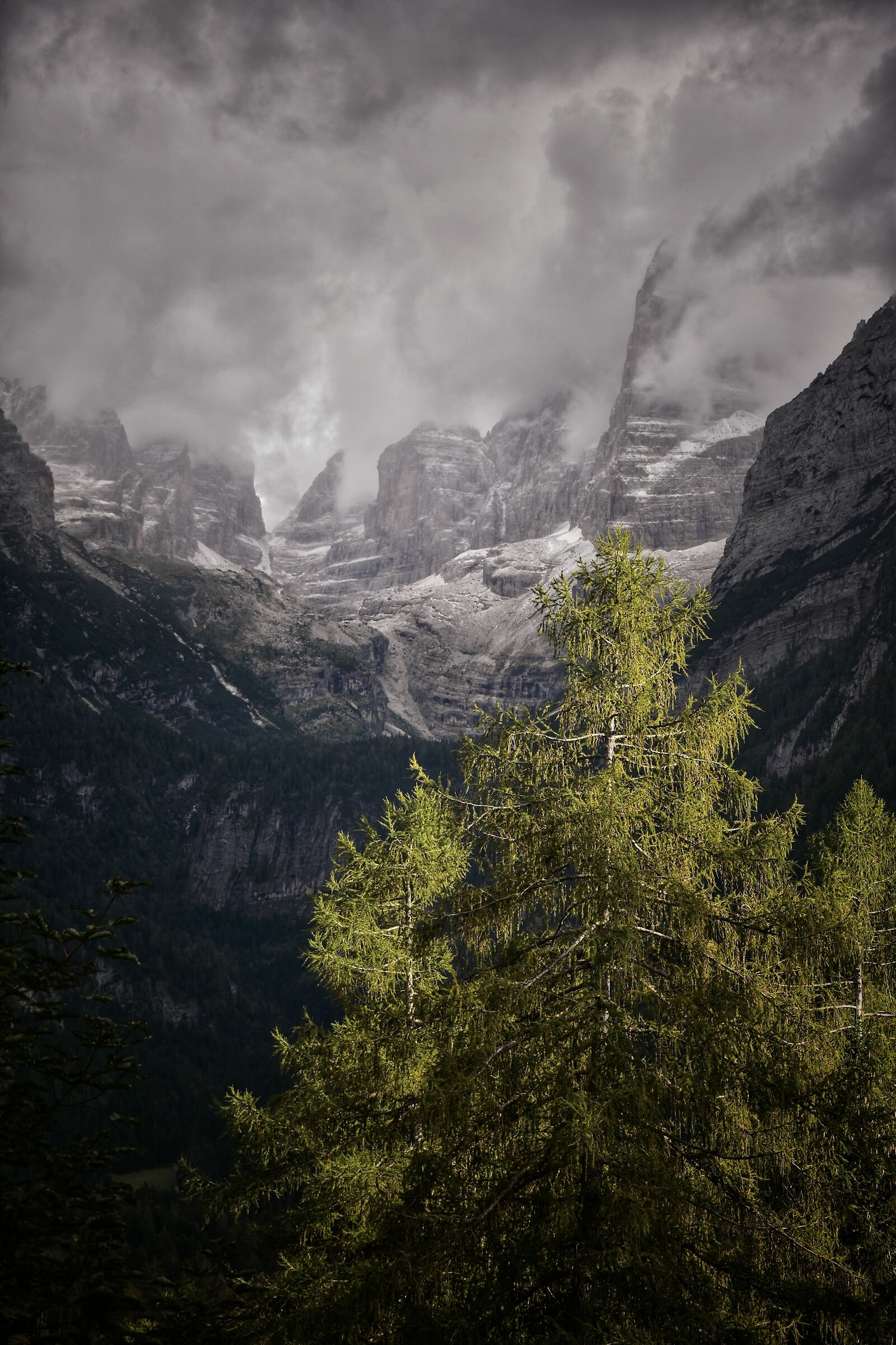 Dolomiti di Brenta