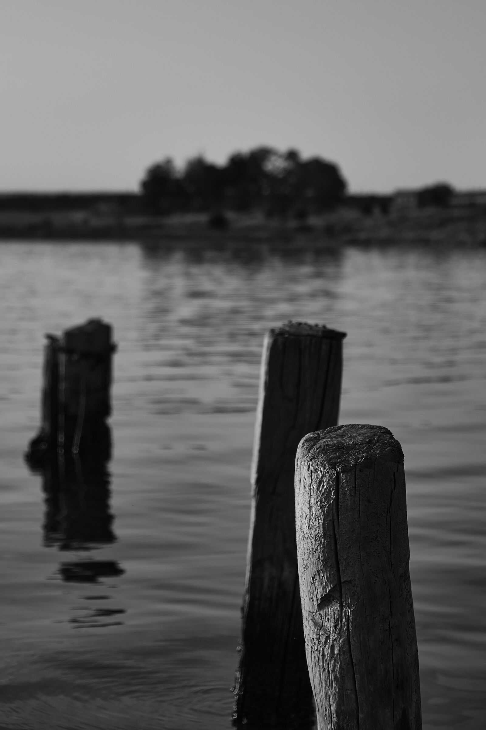 MarPiccolo-Taranto-Paletti