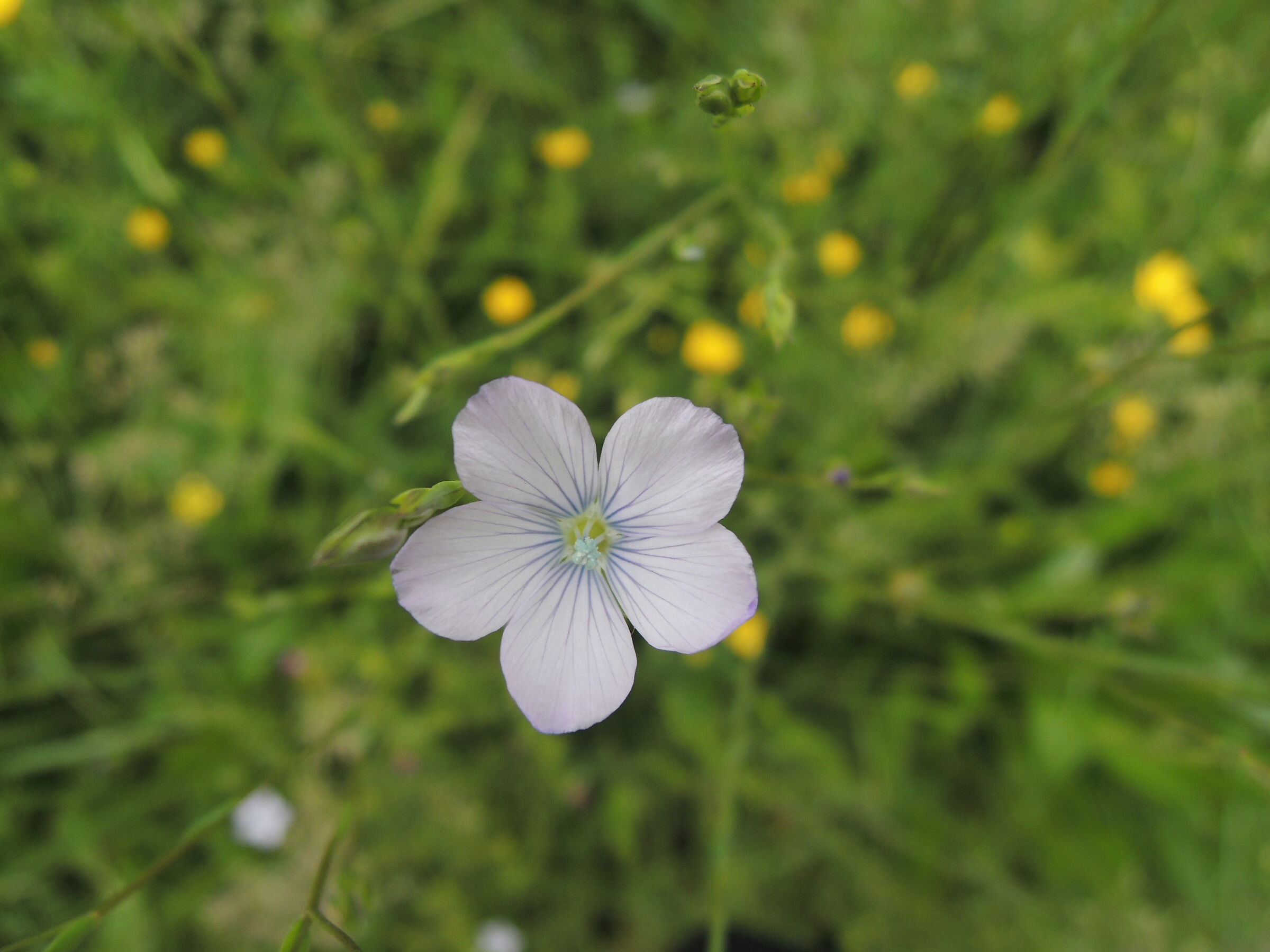 Don't forget about me.