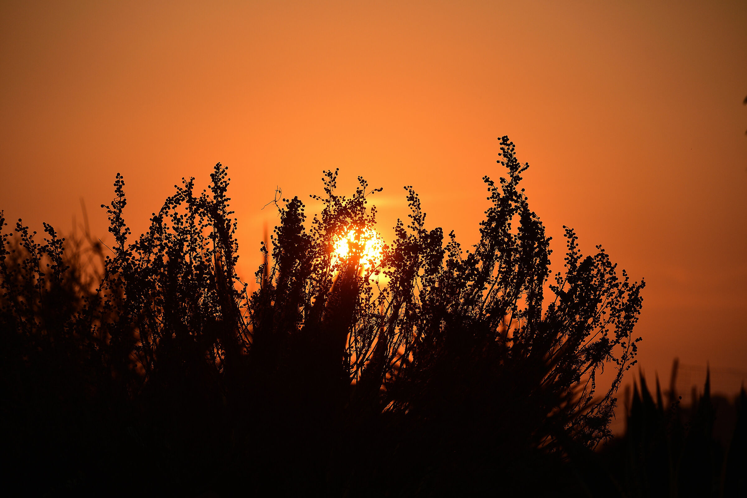 Sunset Settembrino in Realmonte (AG)