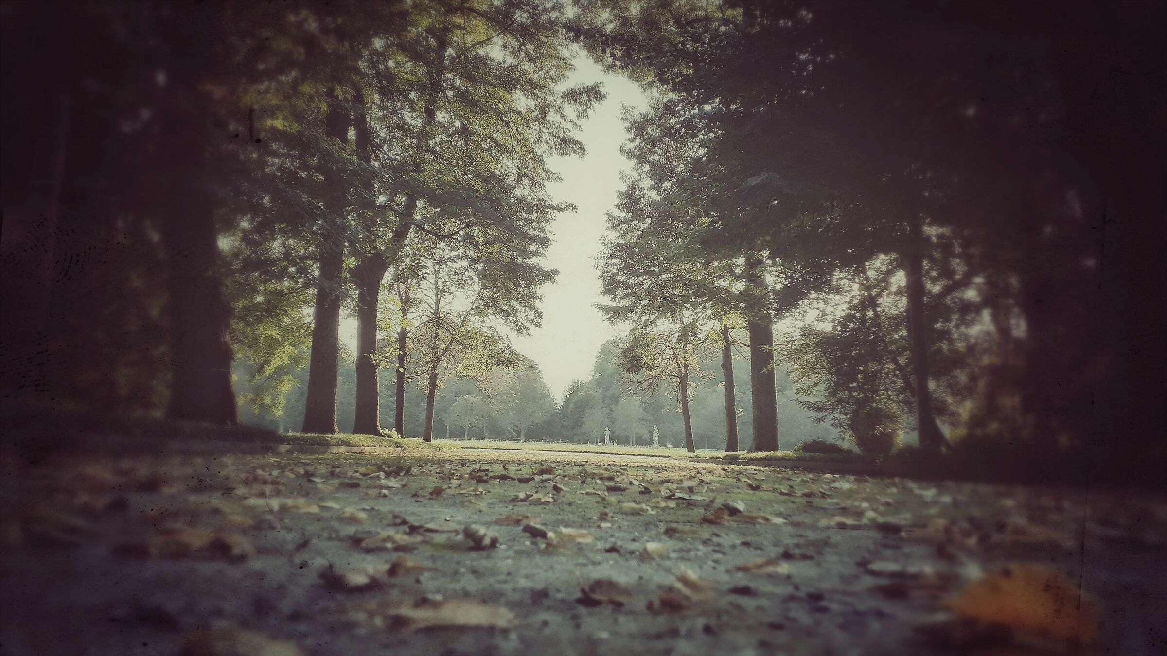 Galaxy A3 Snapseed Autochrome 001