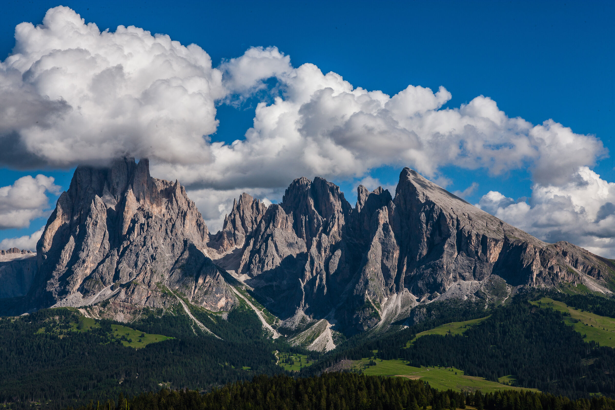 La naturale regola dei terzi