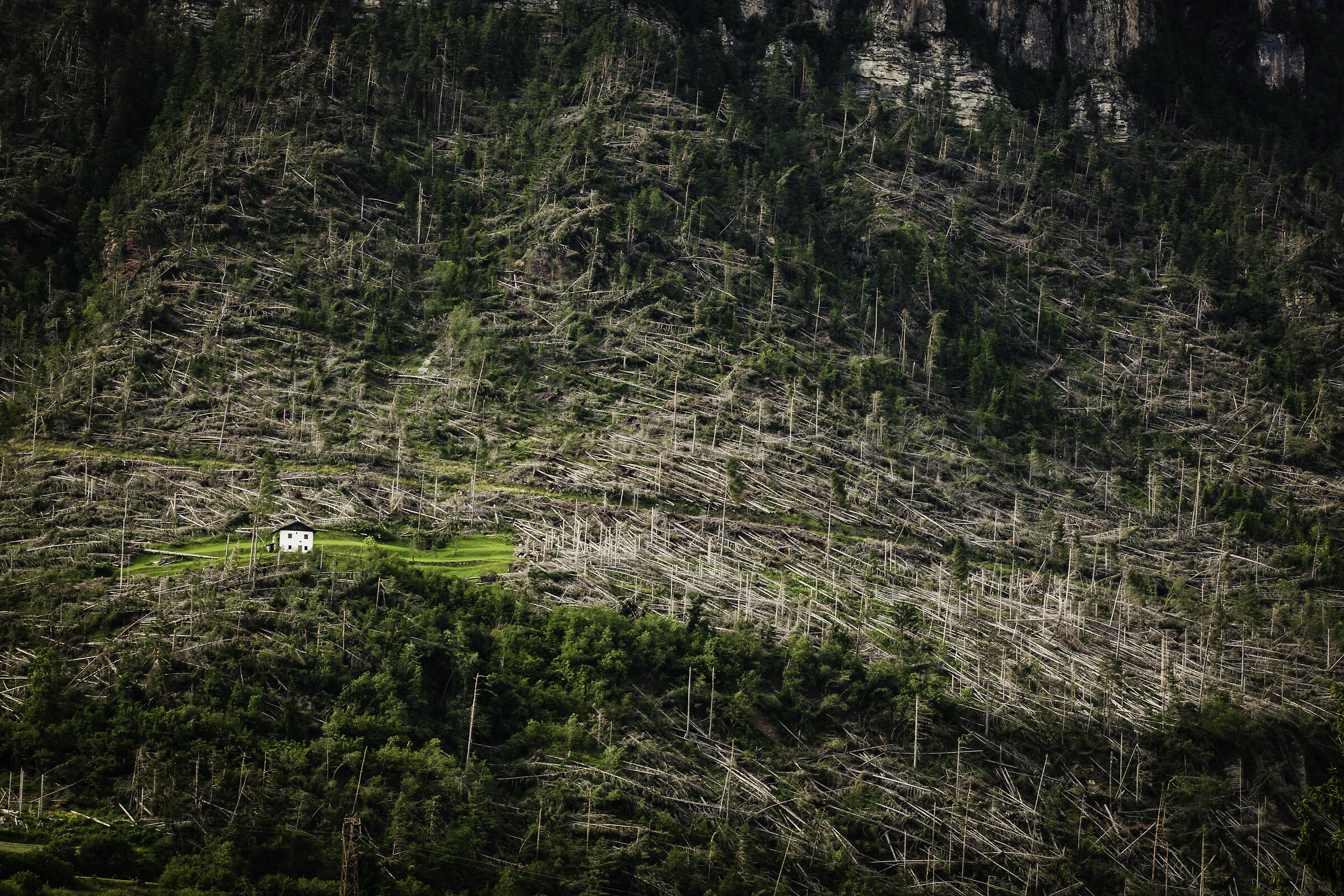 It's past the bad wolf