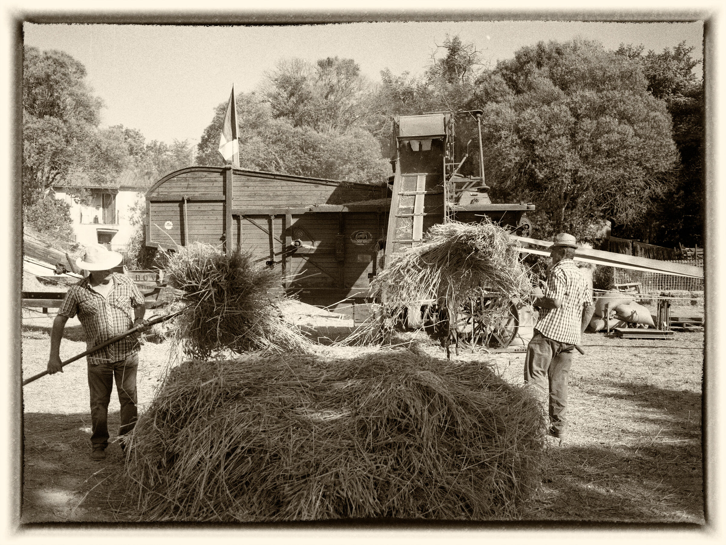 Trebbiatura a fermo 2018 - Zenza Bronica + Ilford Hp5