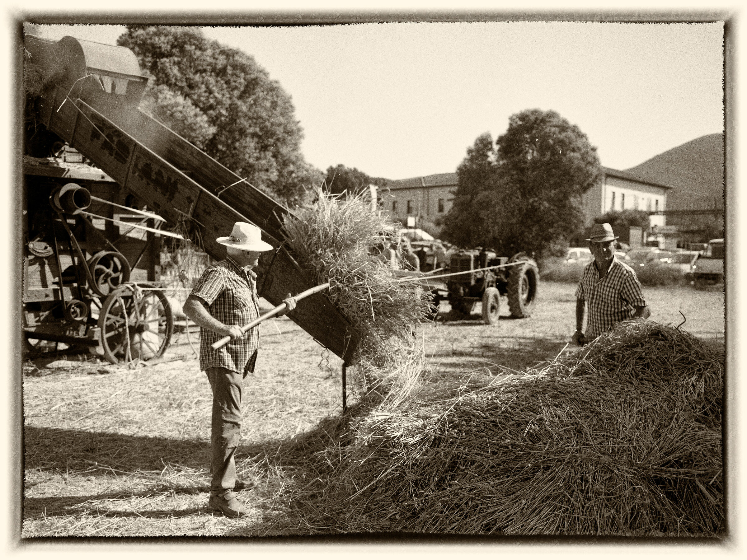 Trebbiatura a fermo 2018 - Zenza Bronica + Ilford Hp5