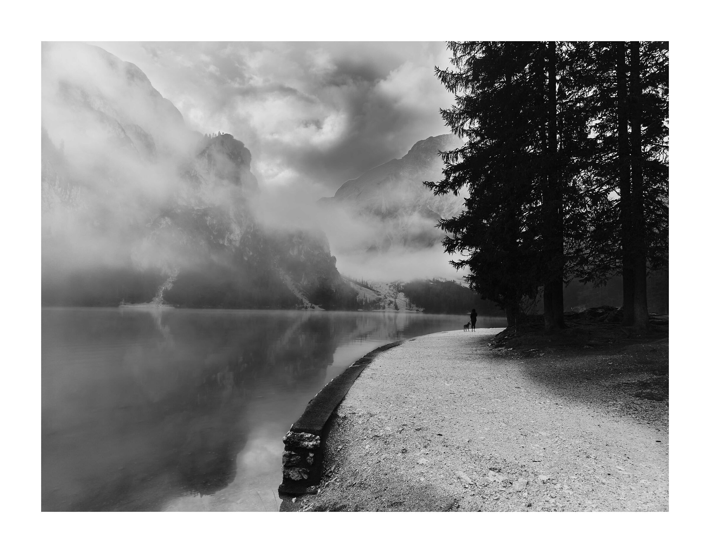 Untitled Photo