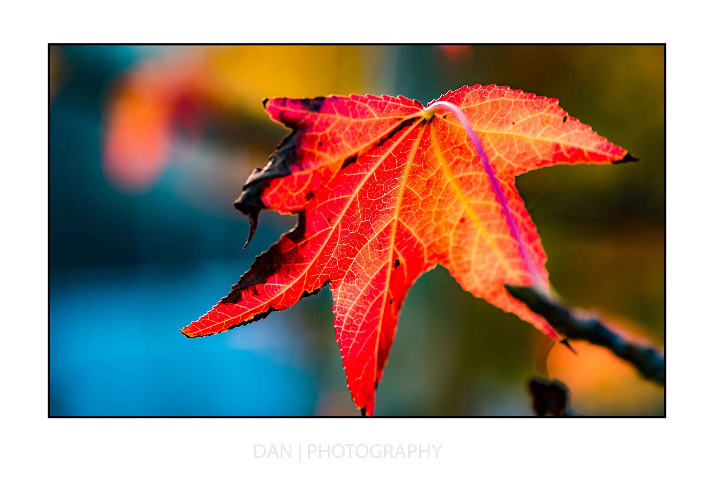 Mod autunno