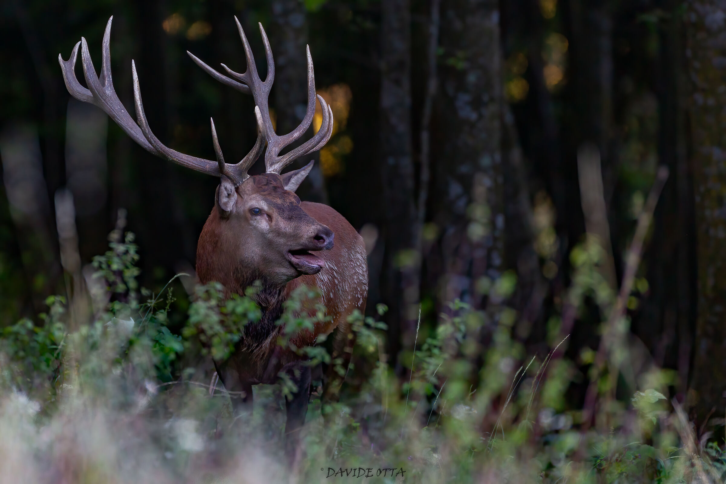 Prendendo fiato dopo il duello che l ha visto vincitore