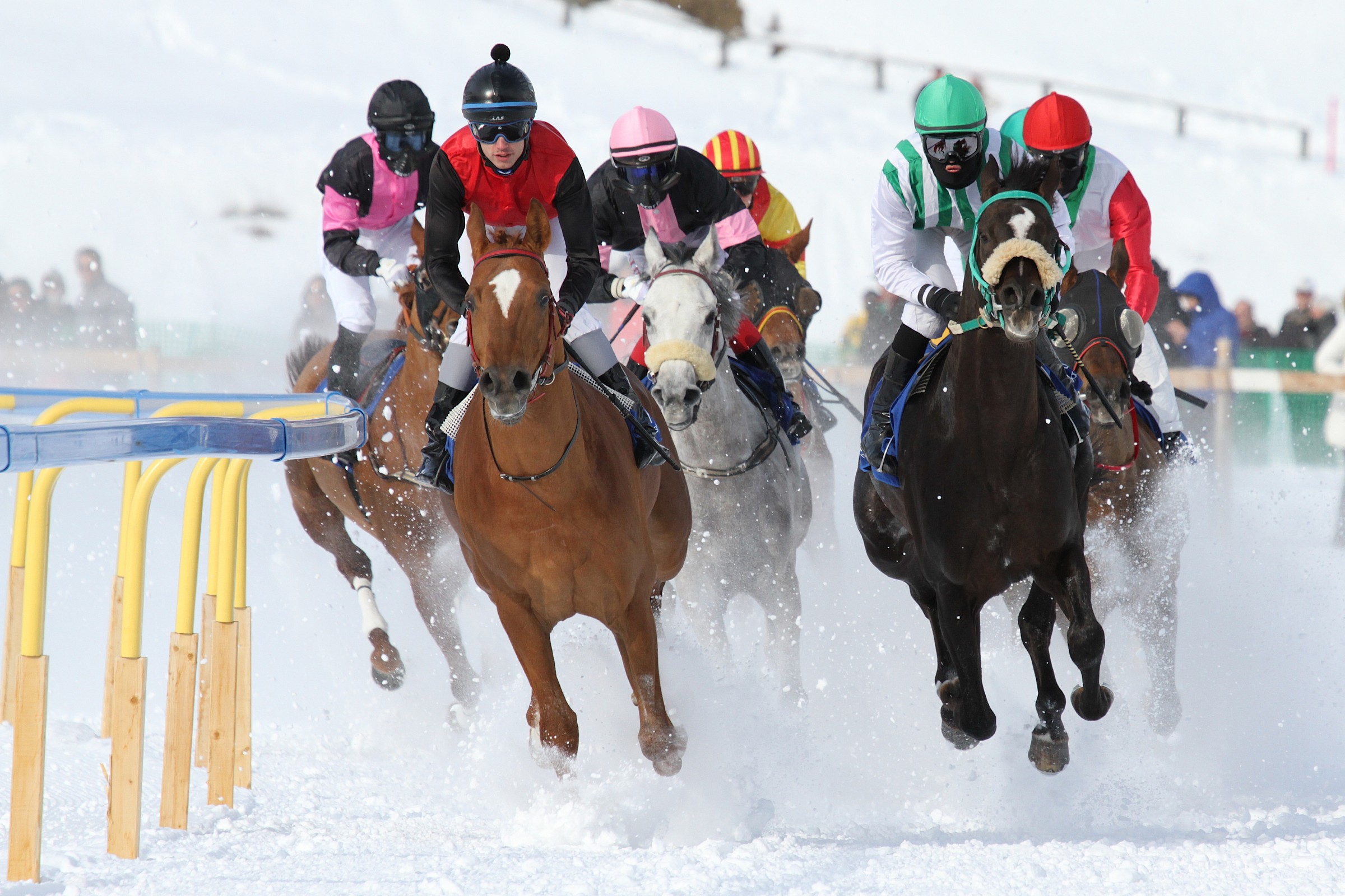Races in St. Moritz 2013