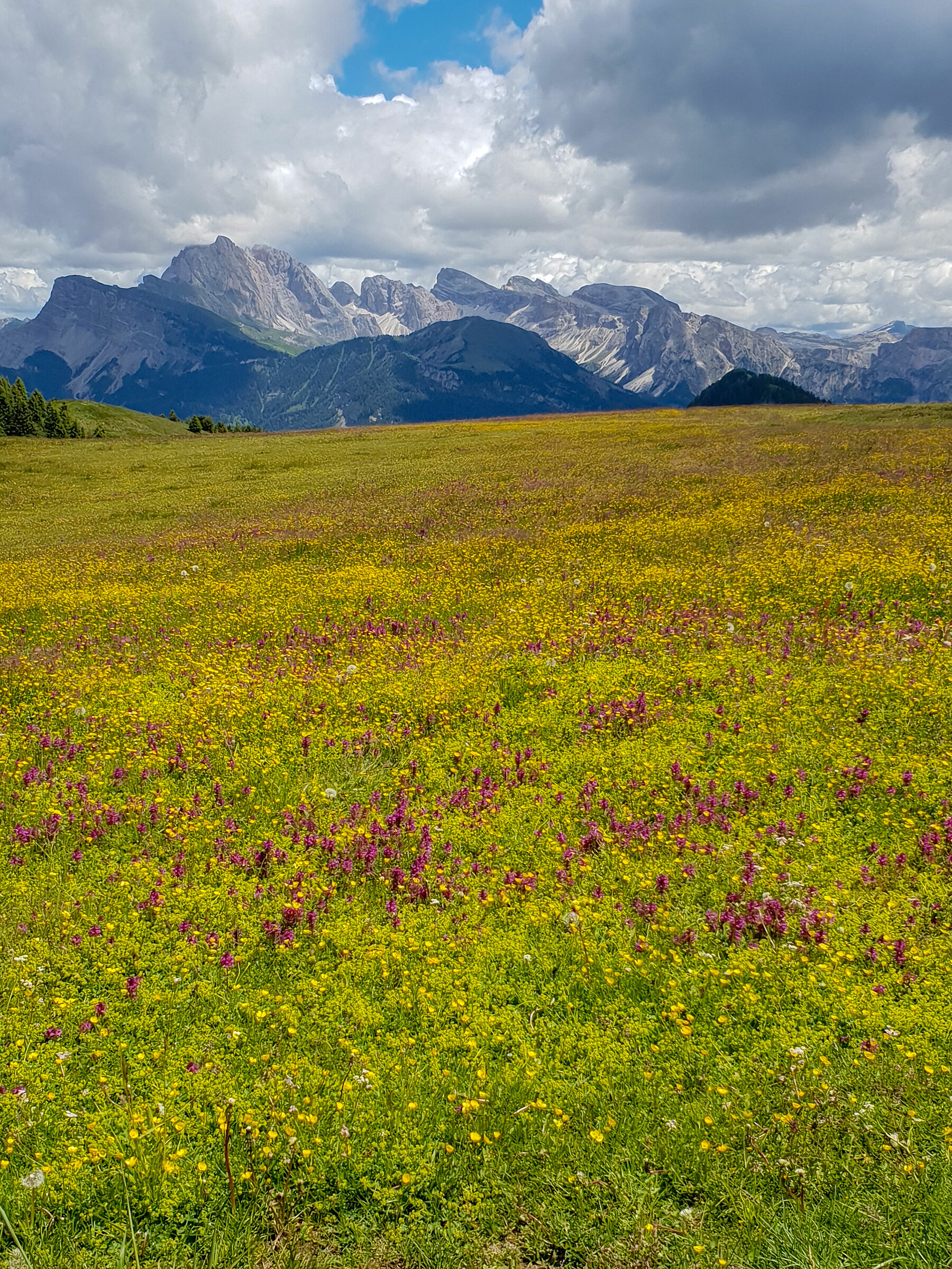 Alpe di Siusi