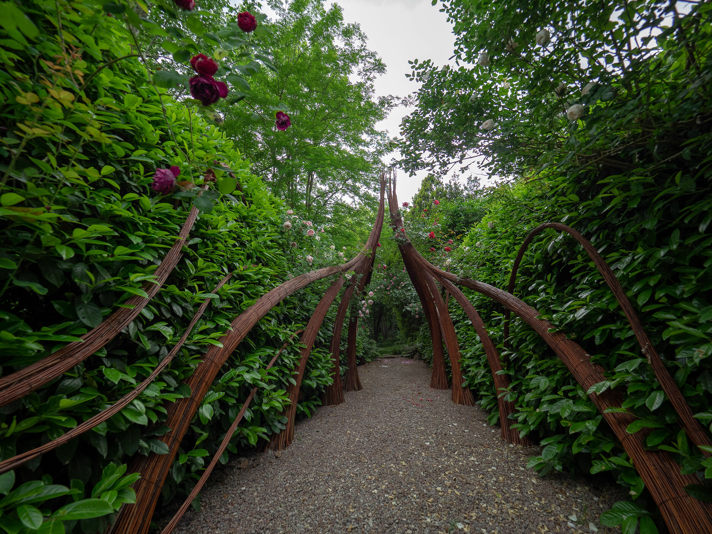 Preludio - Giardino delle Stanze sonore