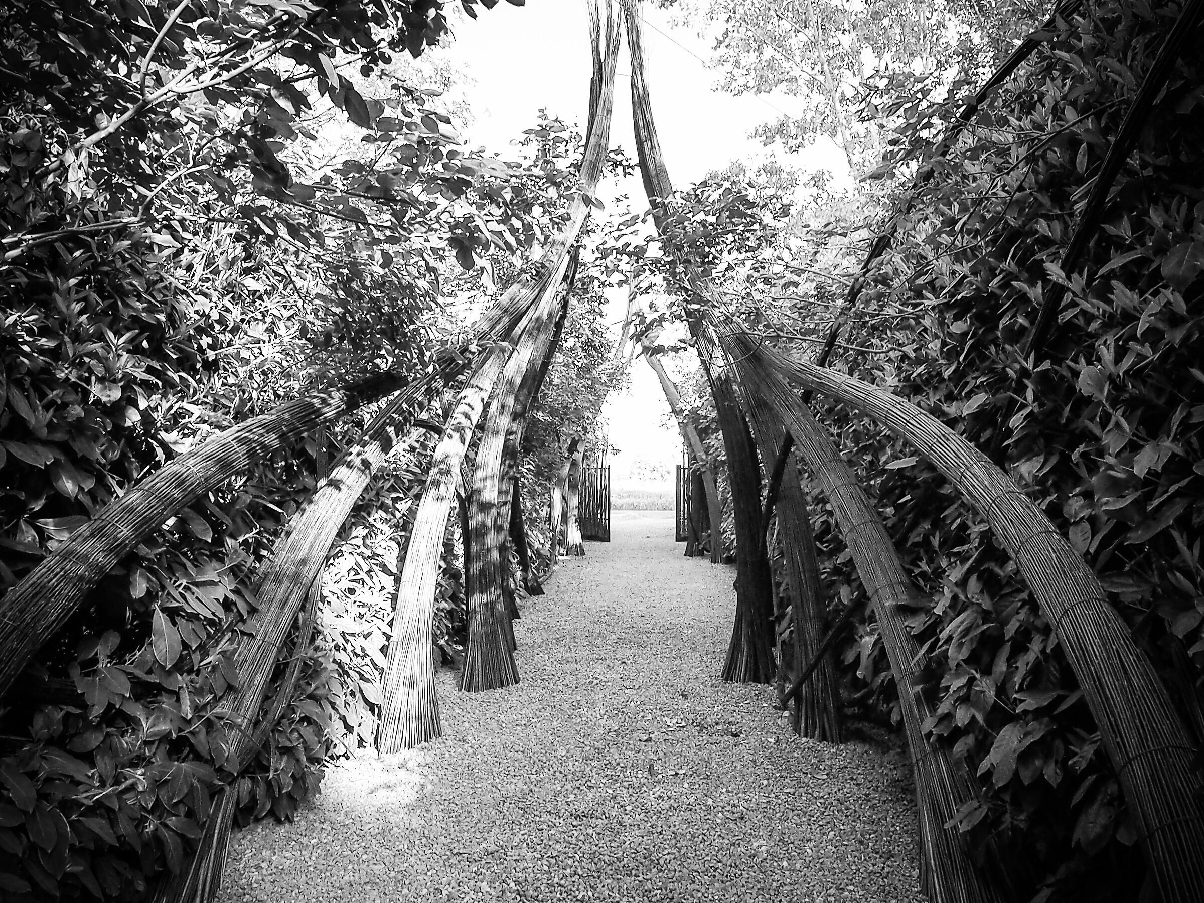 Preludio - Giardino delle Stanze sonore