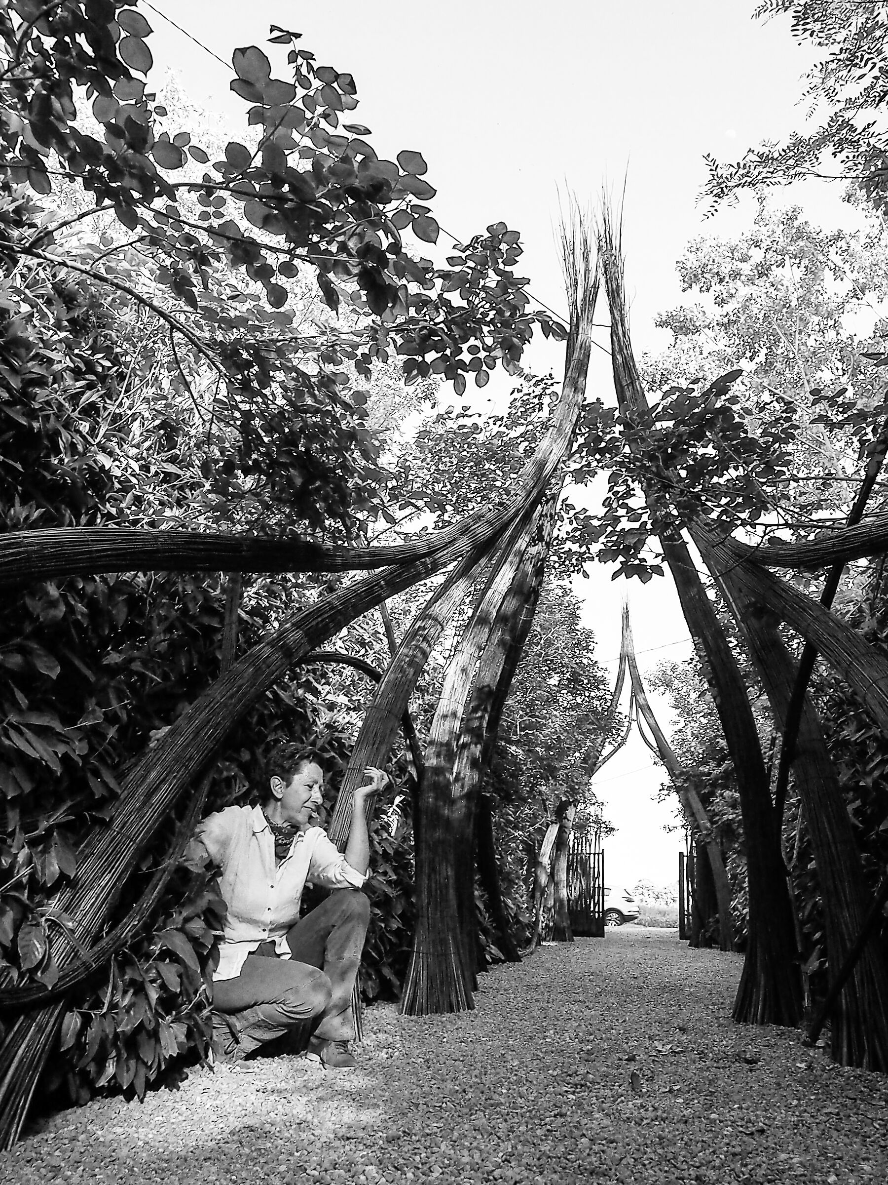 Preludio - Giardino delle Stanze sonore