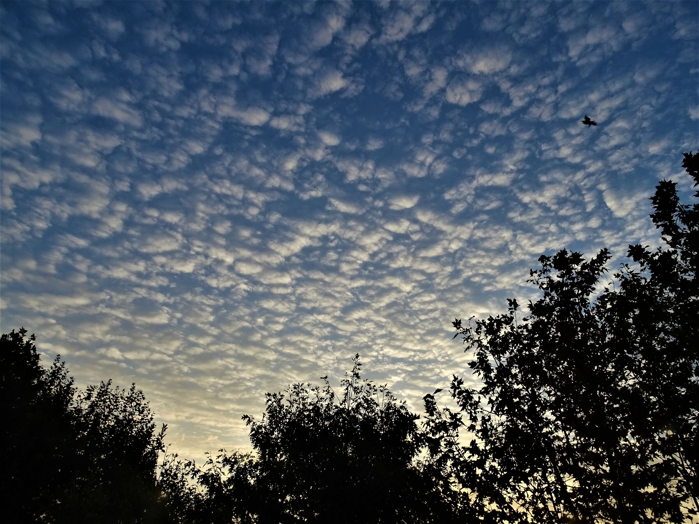 nuvole di settembre..