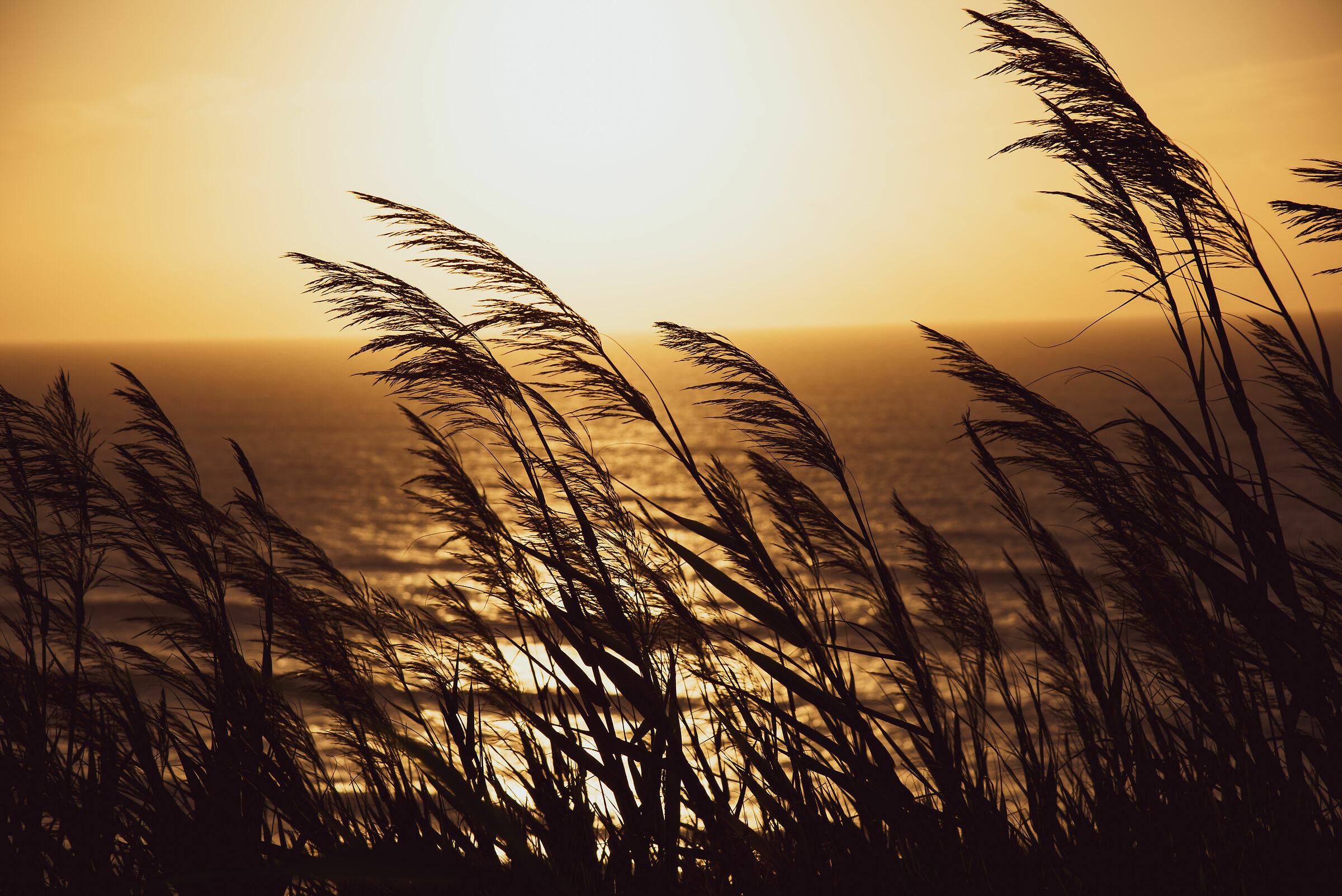 Tramonto sull'oceano