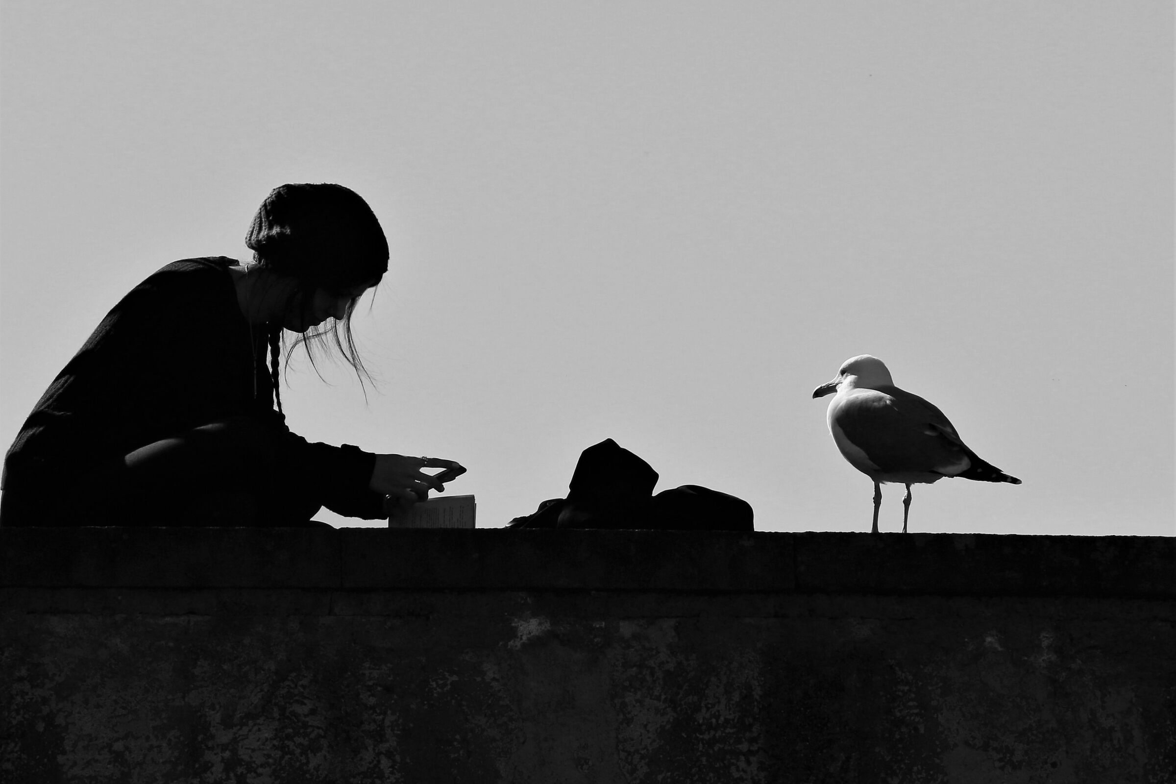 Sharing