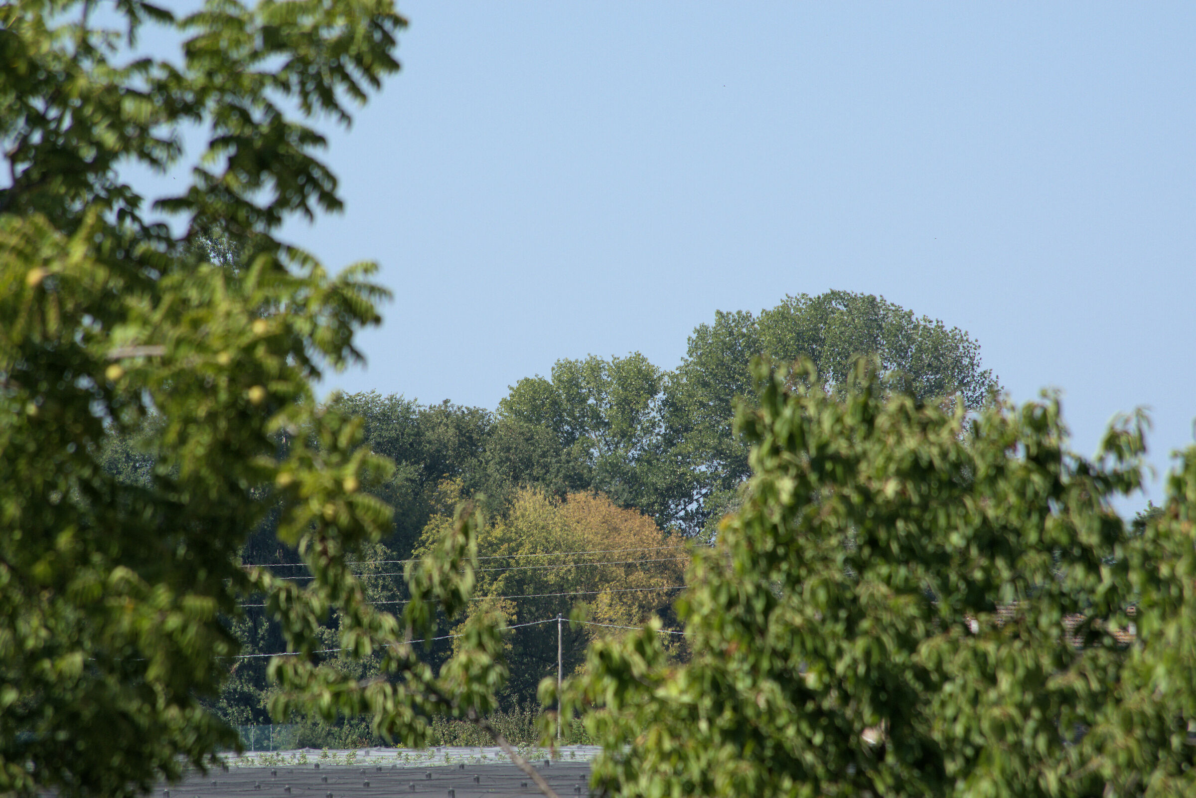 Pentax DA HD 55-300mm + moltiplicatore