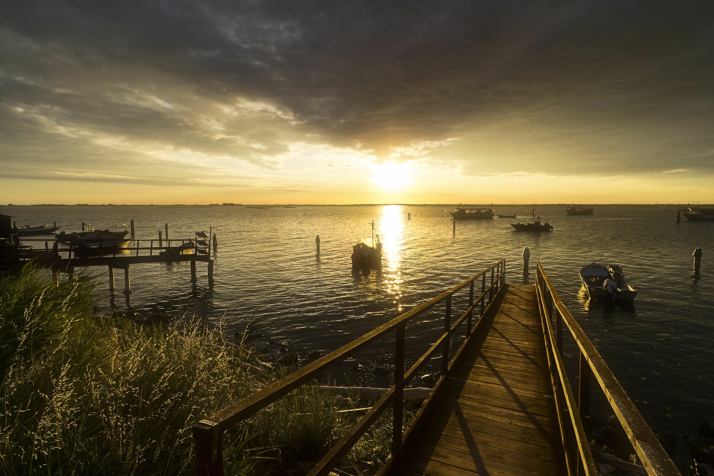 Sacca degli Scardovari