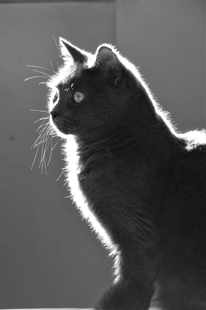 Arthur