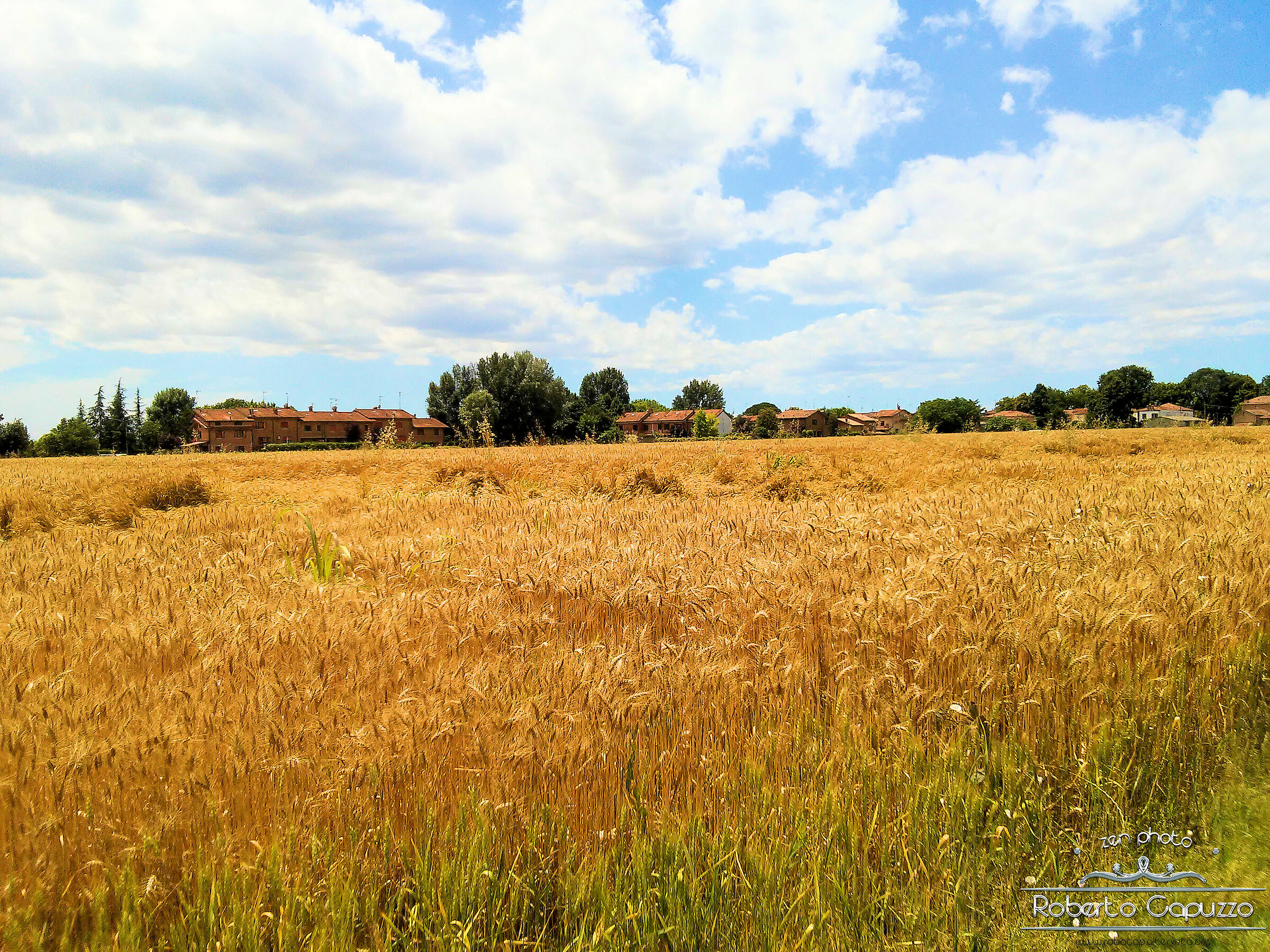 Aguscello, la falce in pugno