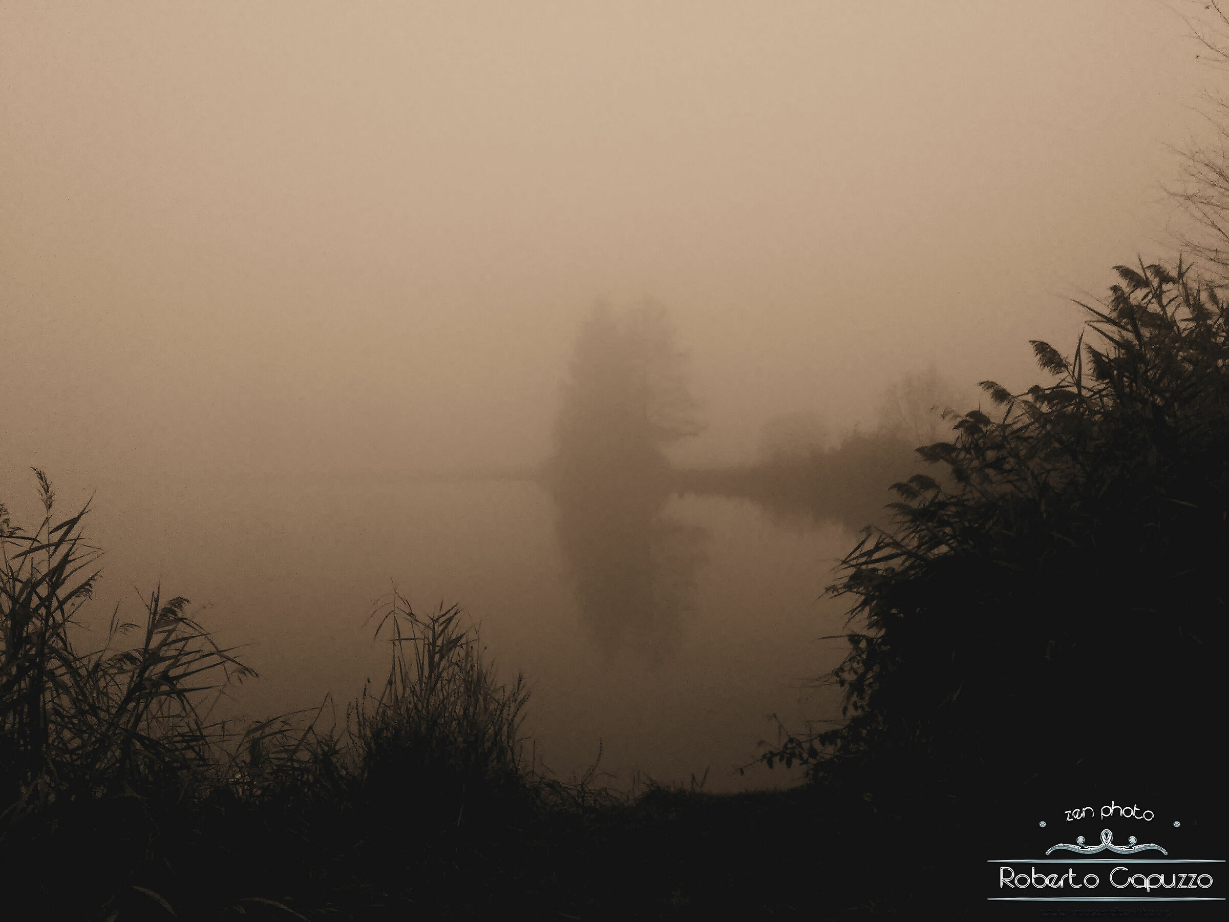 Parco ma non di nebbia
