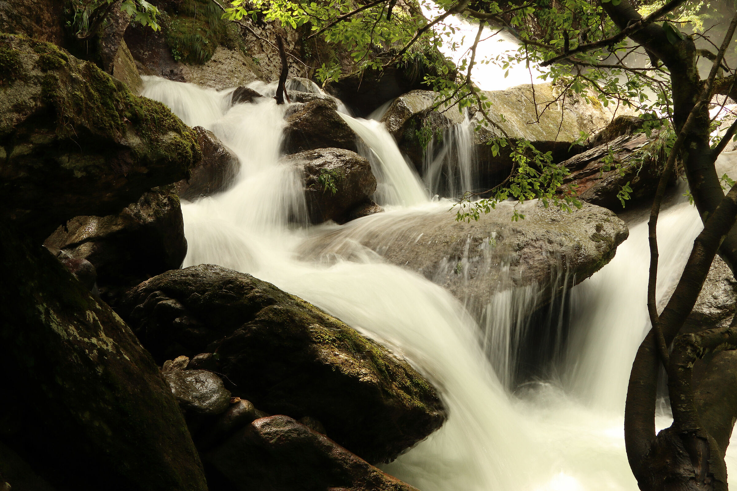 impetuosa in Valsanguigno