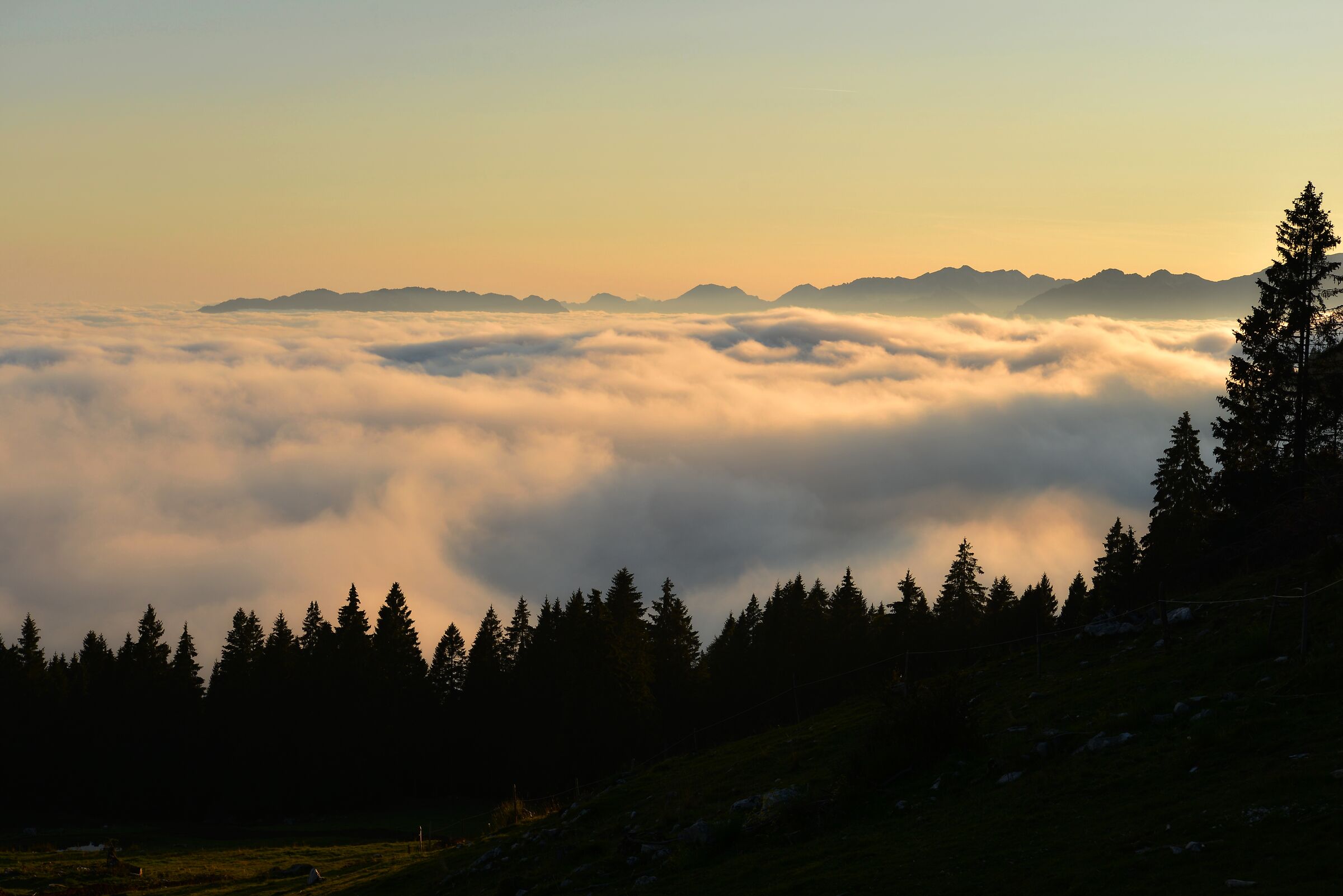Cloud cushion