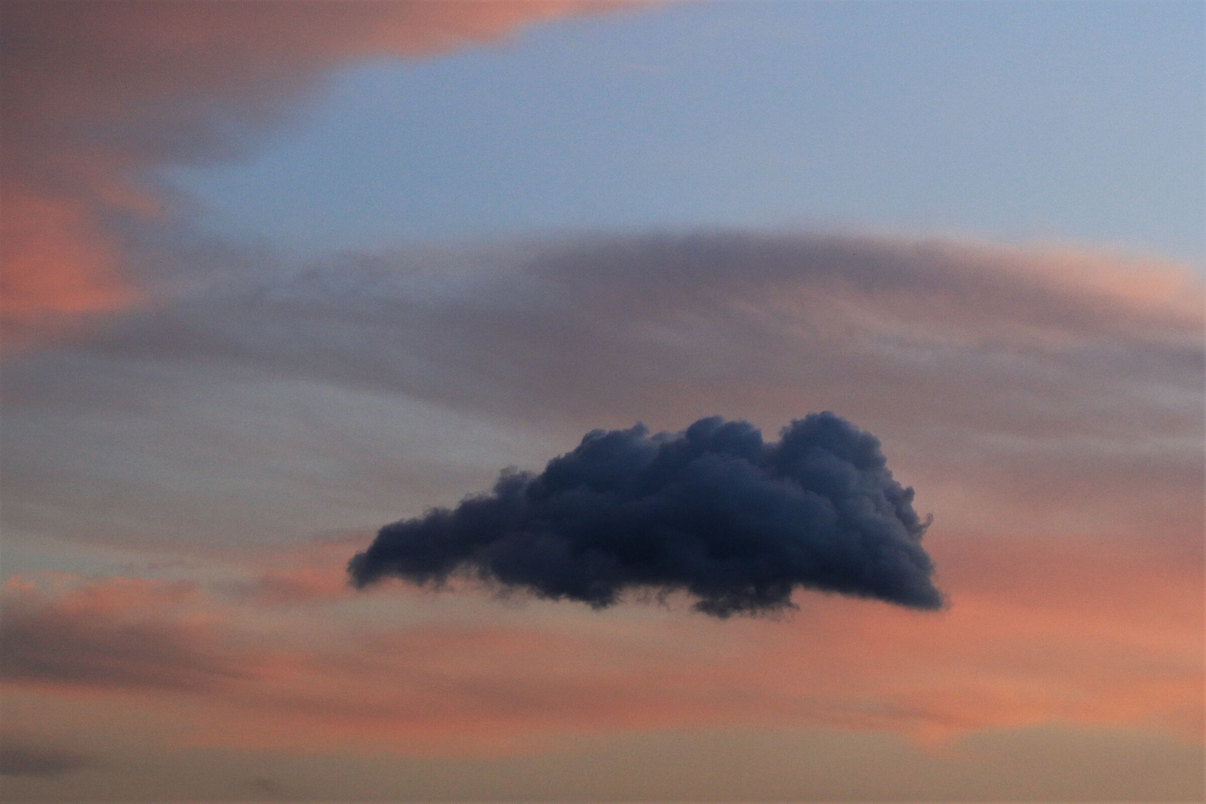 Untitled Photo