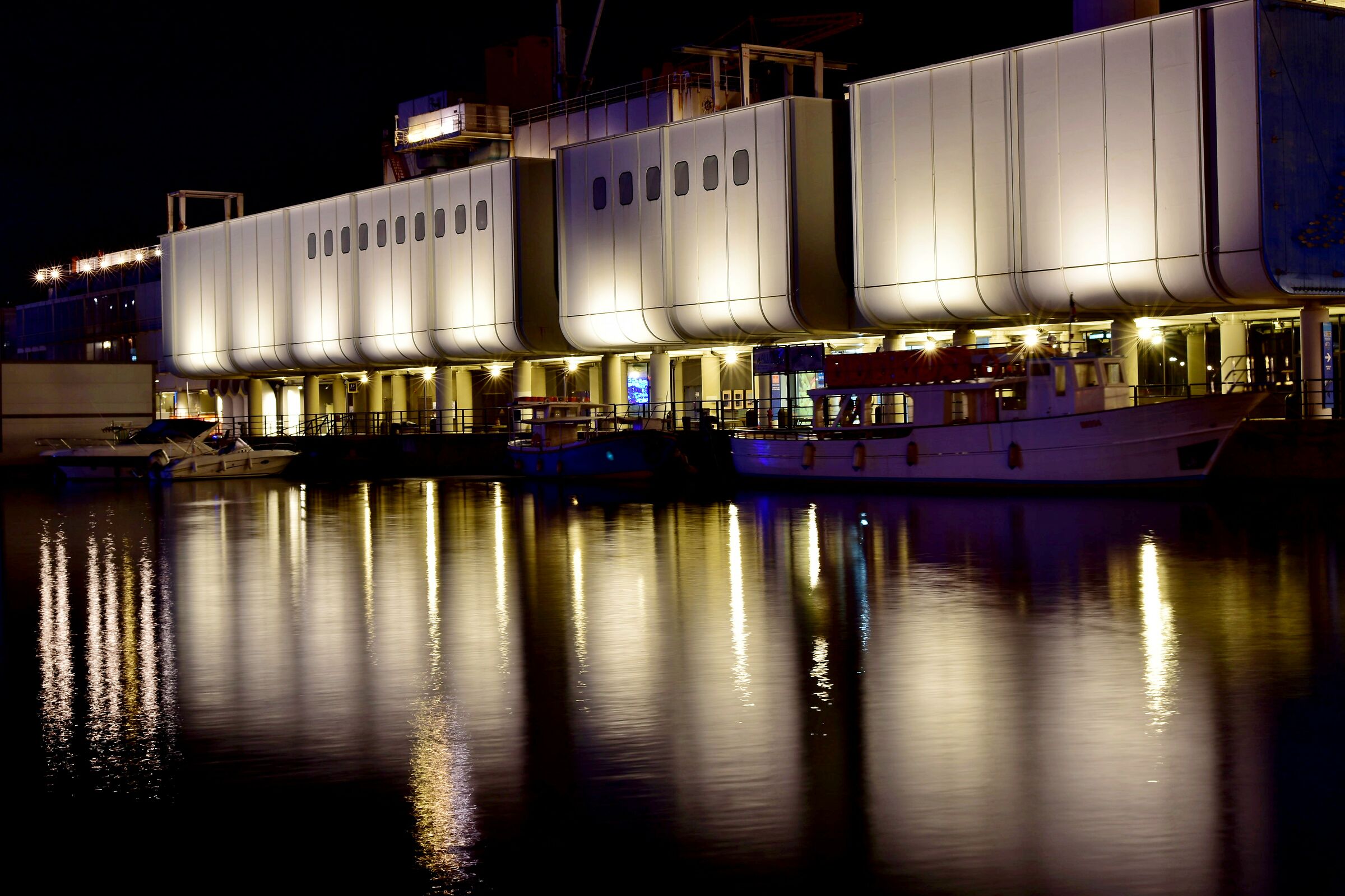 I riflessi notturni dell'Acquario