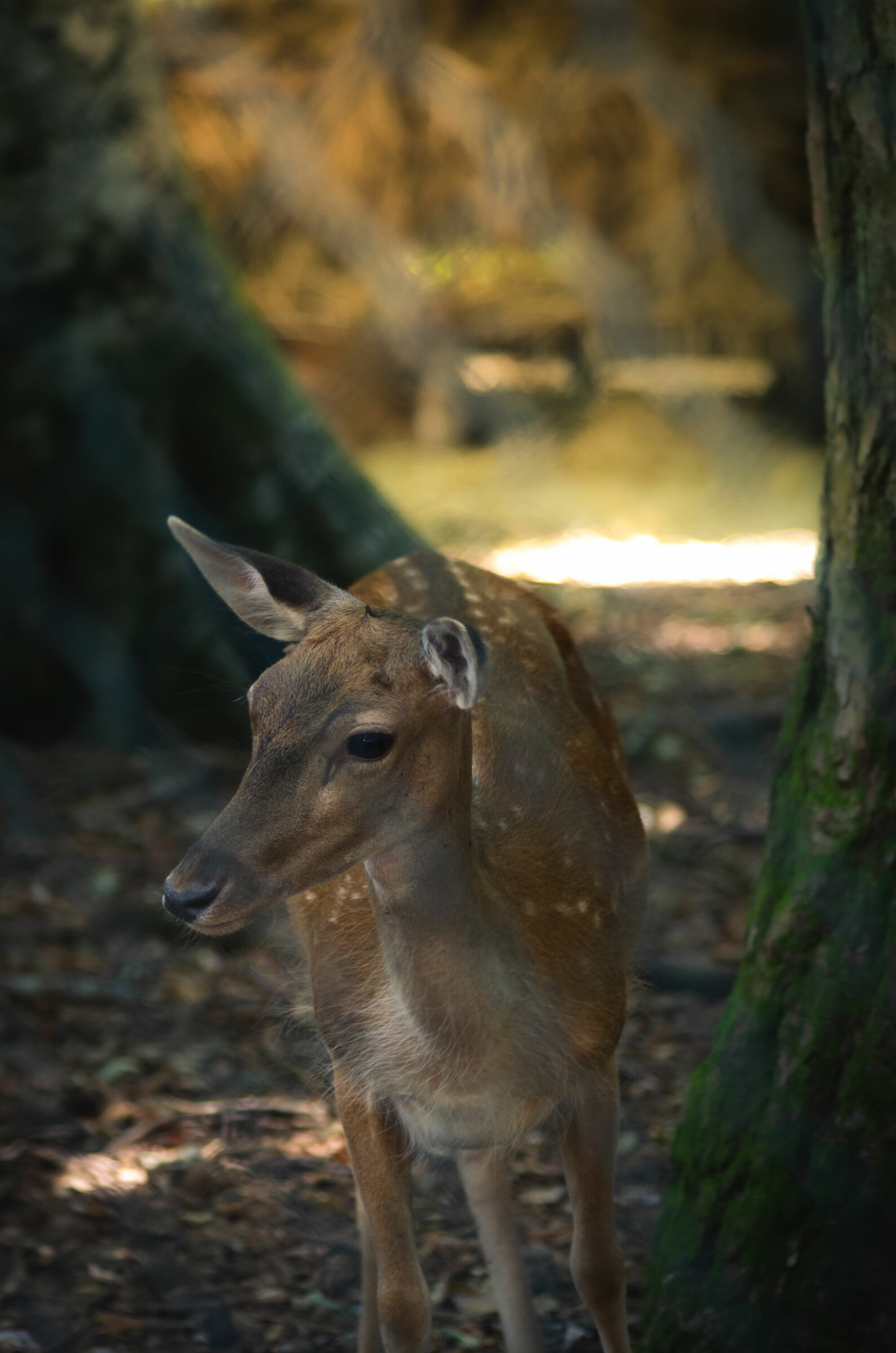 Are we going to take a picture? Come on... ?!
