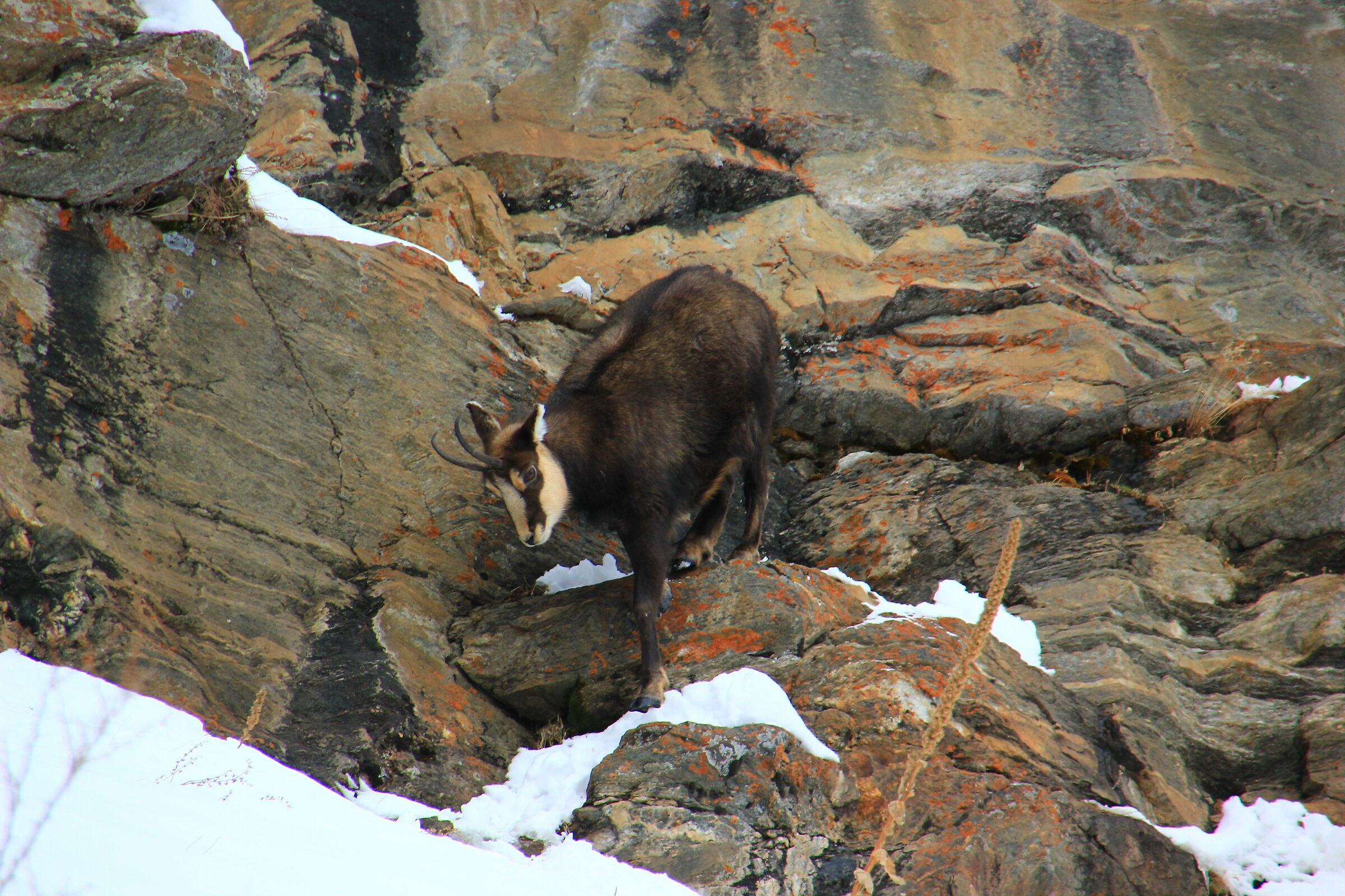 Scendo con attenzione