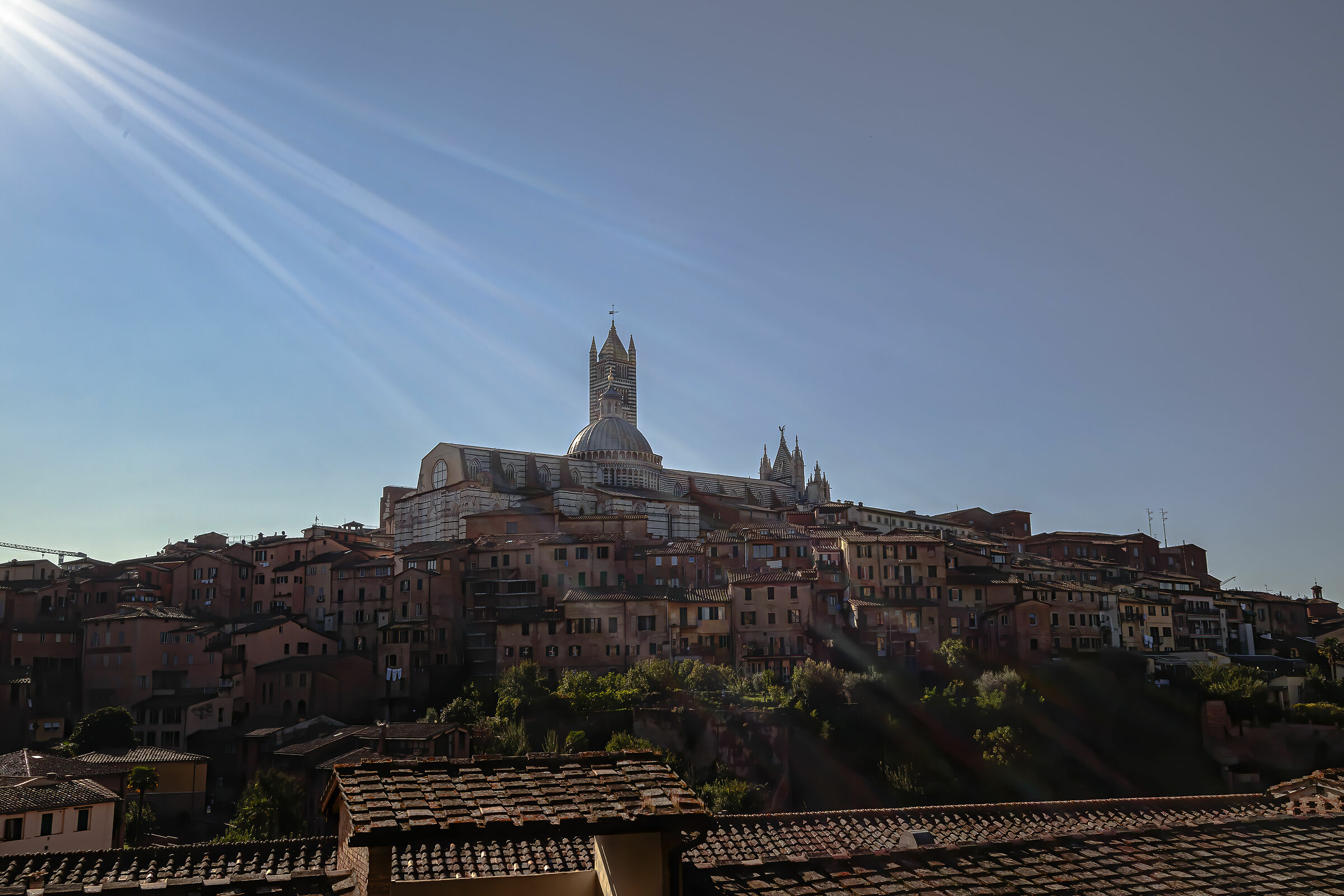 Siena.
