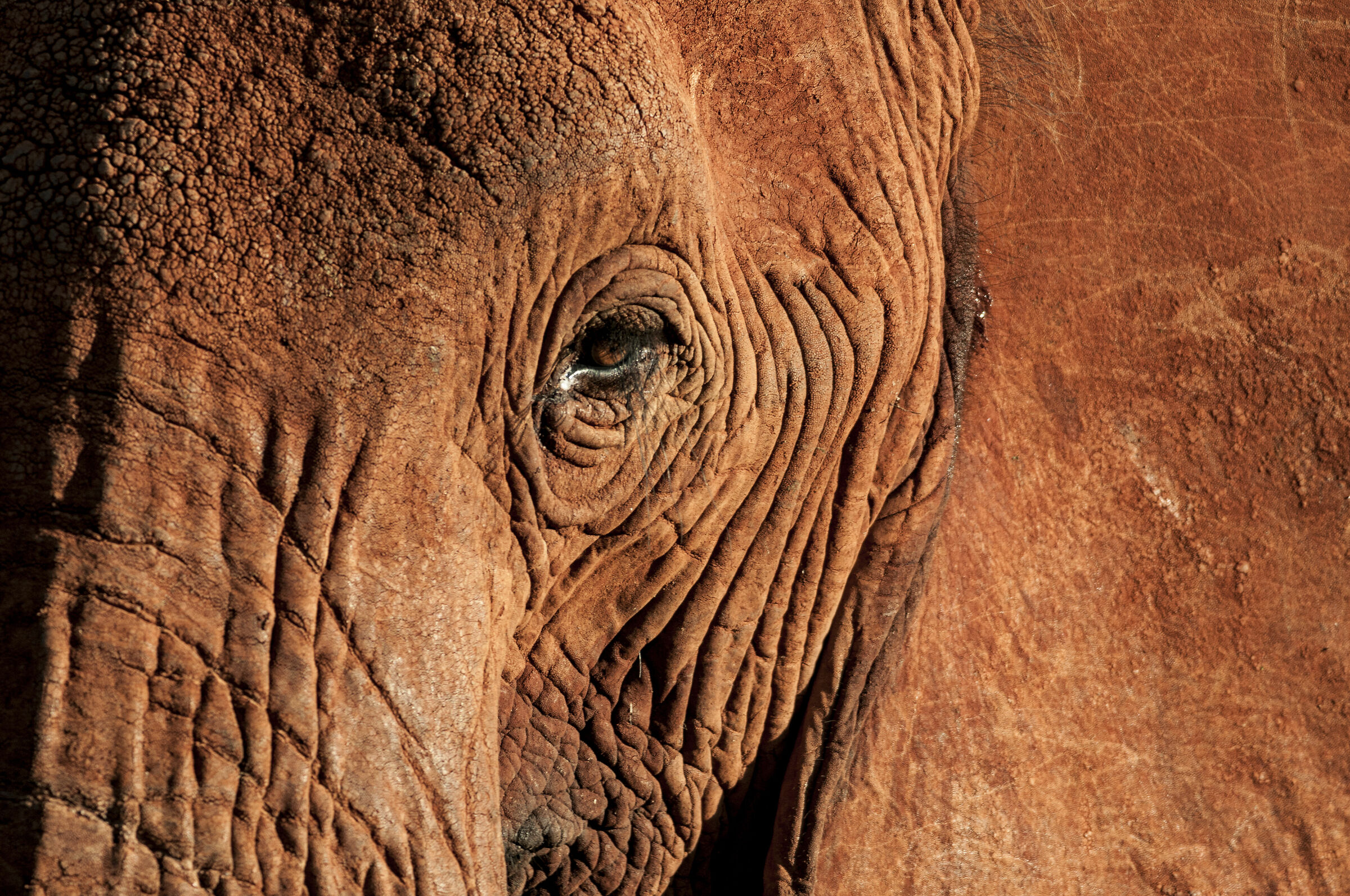 Con gli occhi di una mamma