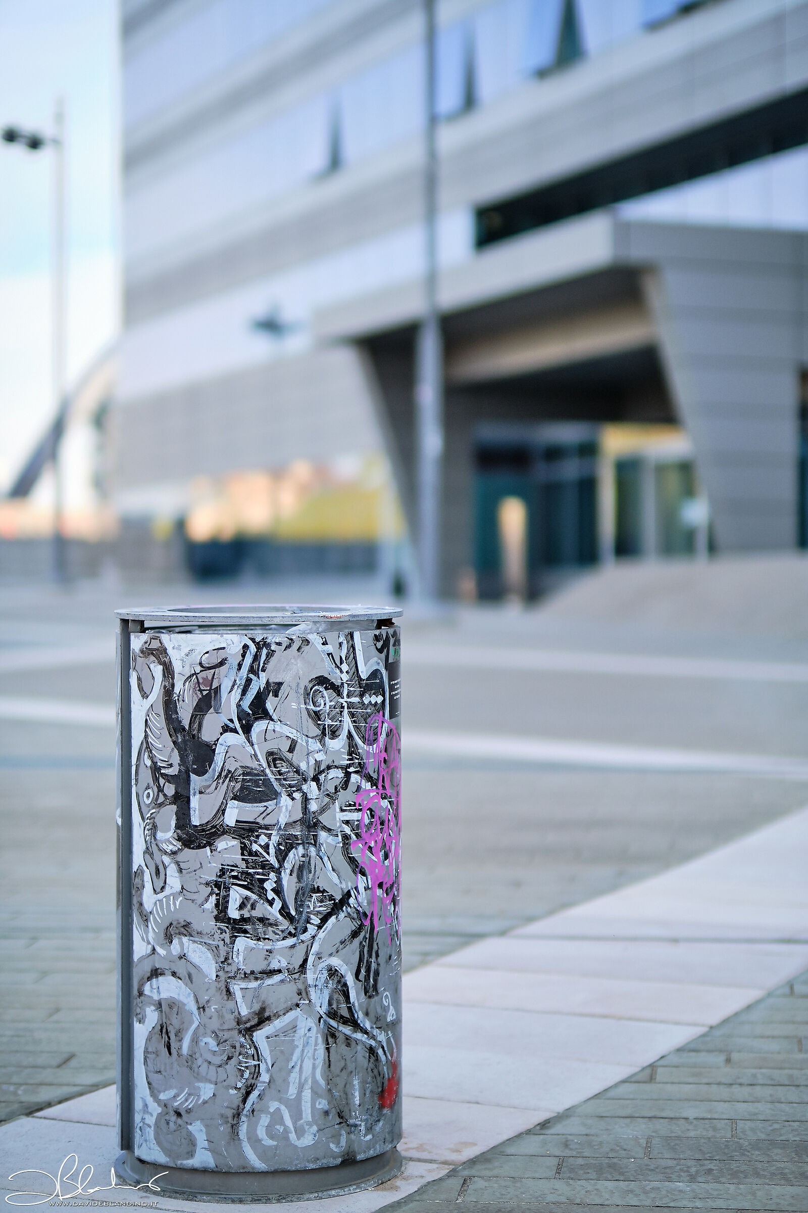 Ritratto di un cestino