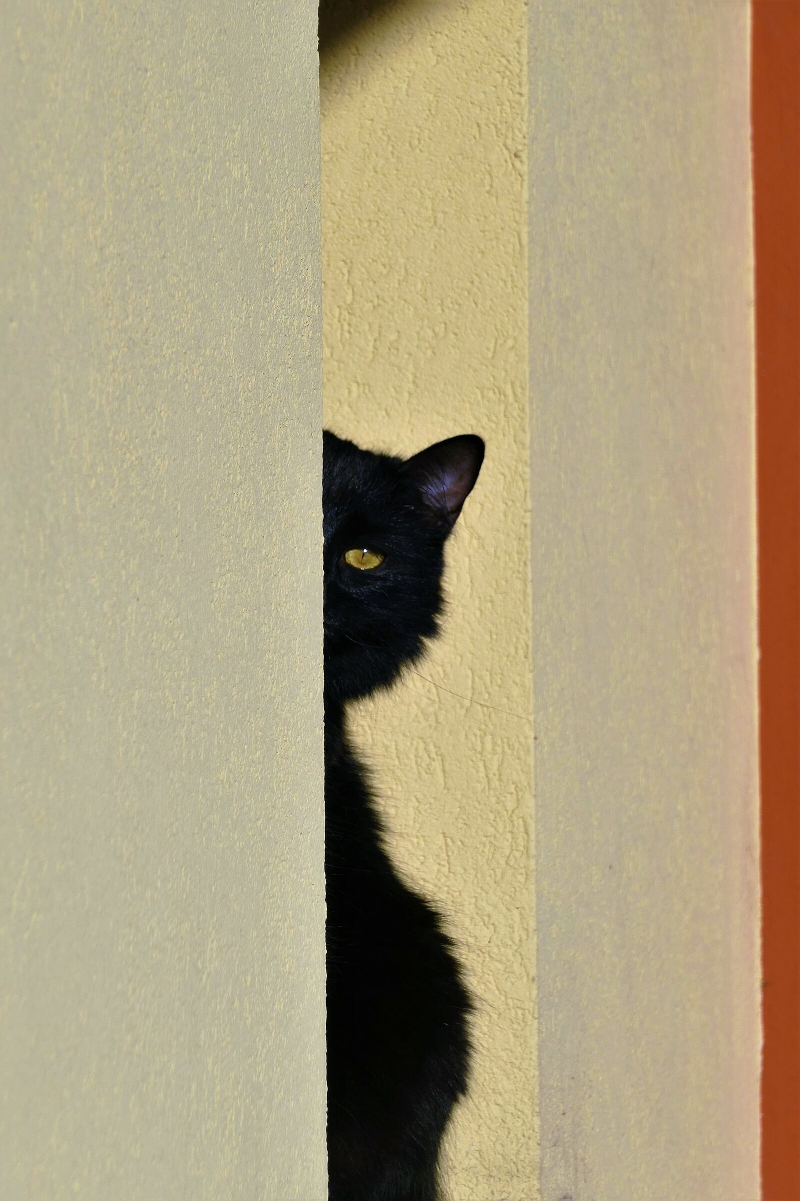 Kiki