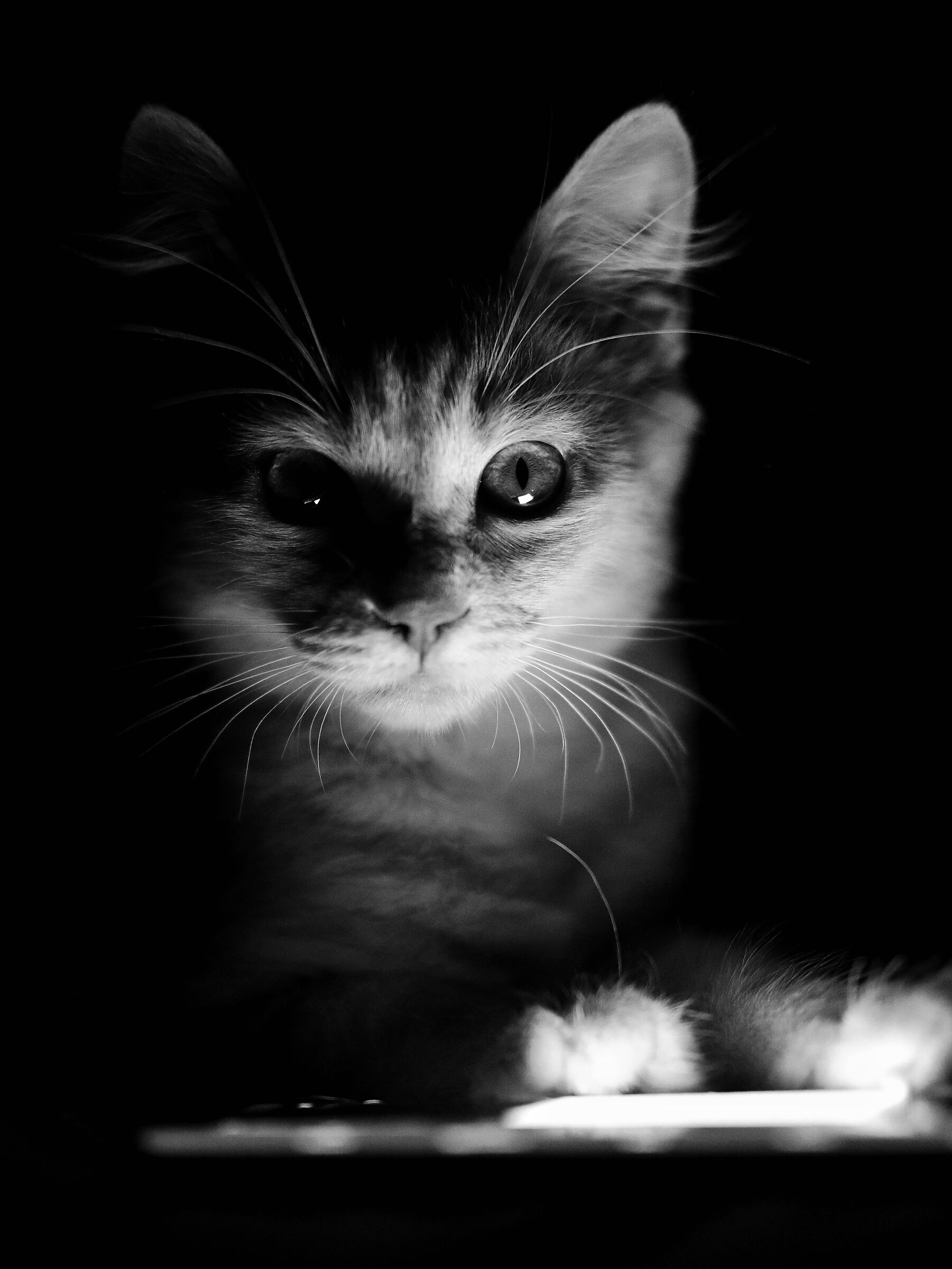 Romeo